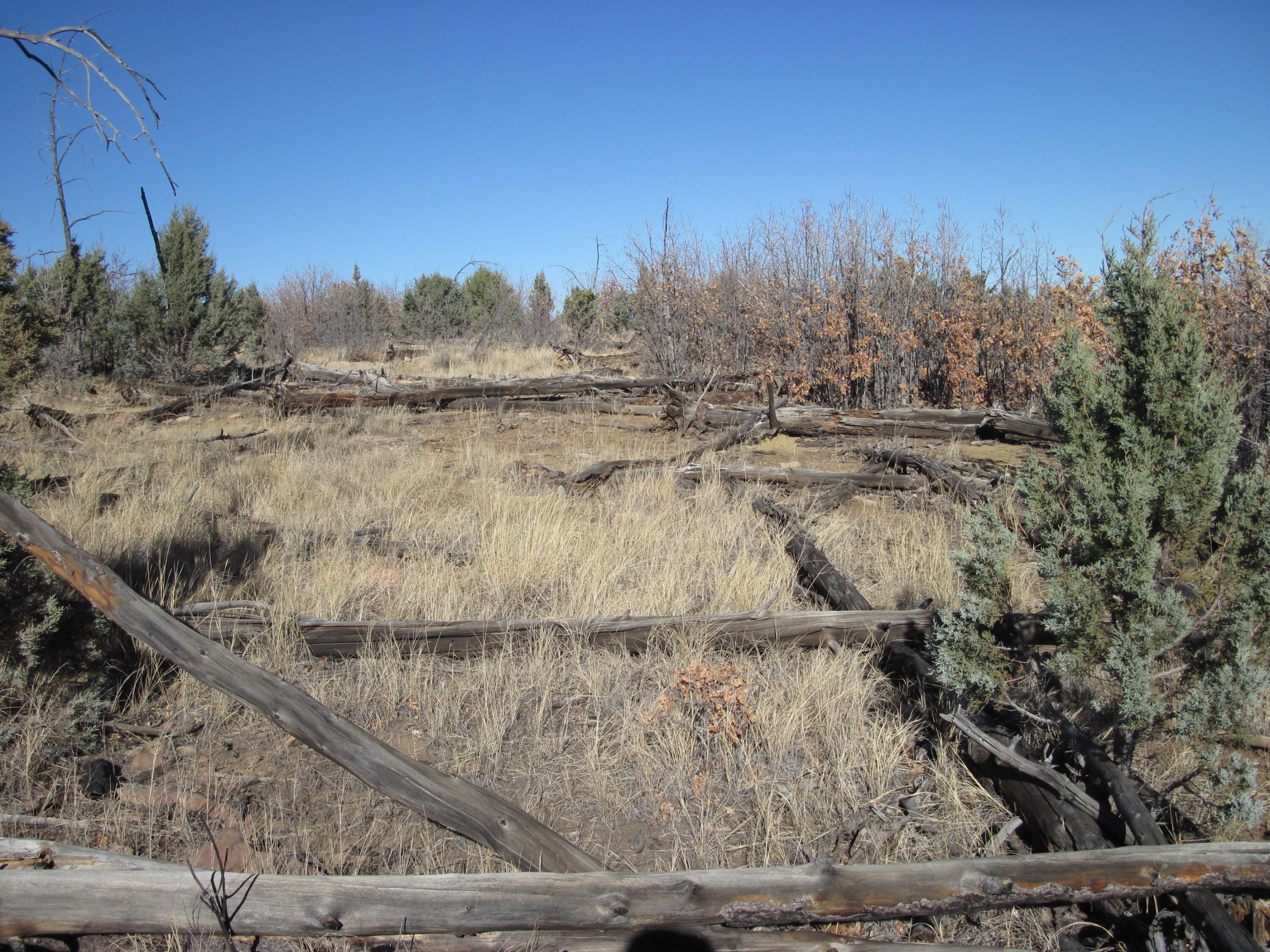 11 Lot Sherwood Forest Drive, Torreon, New Mexico image 21