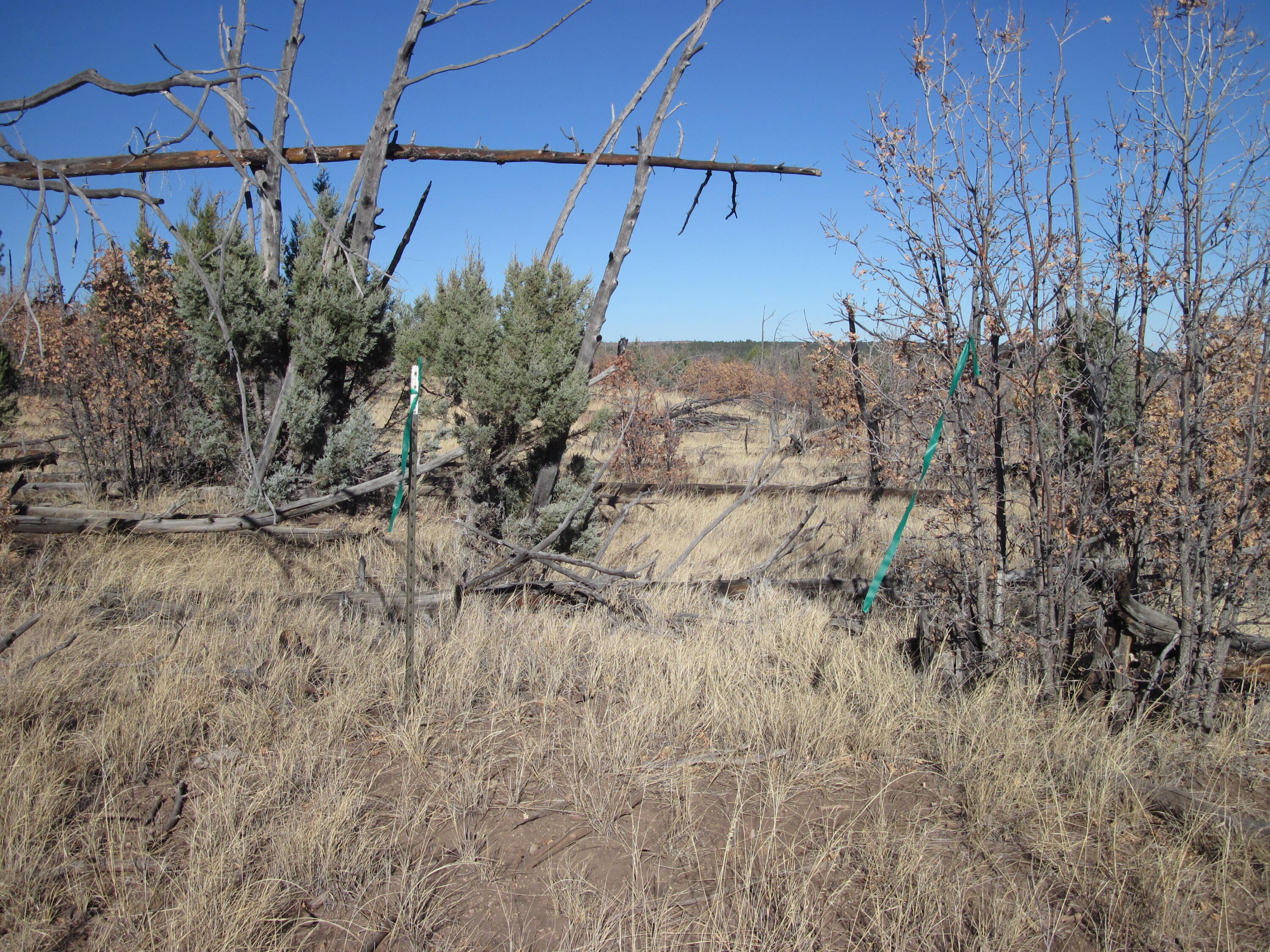 11 Lot Sherwood Forest Drive, Torreon, New Mexico image 18