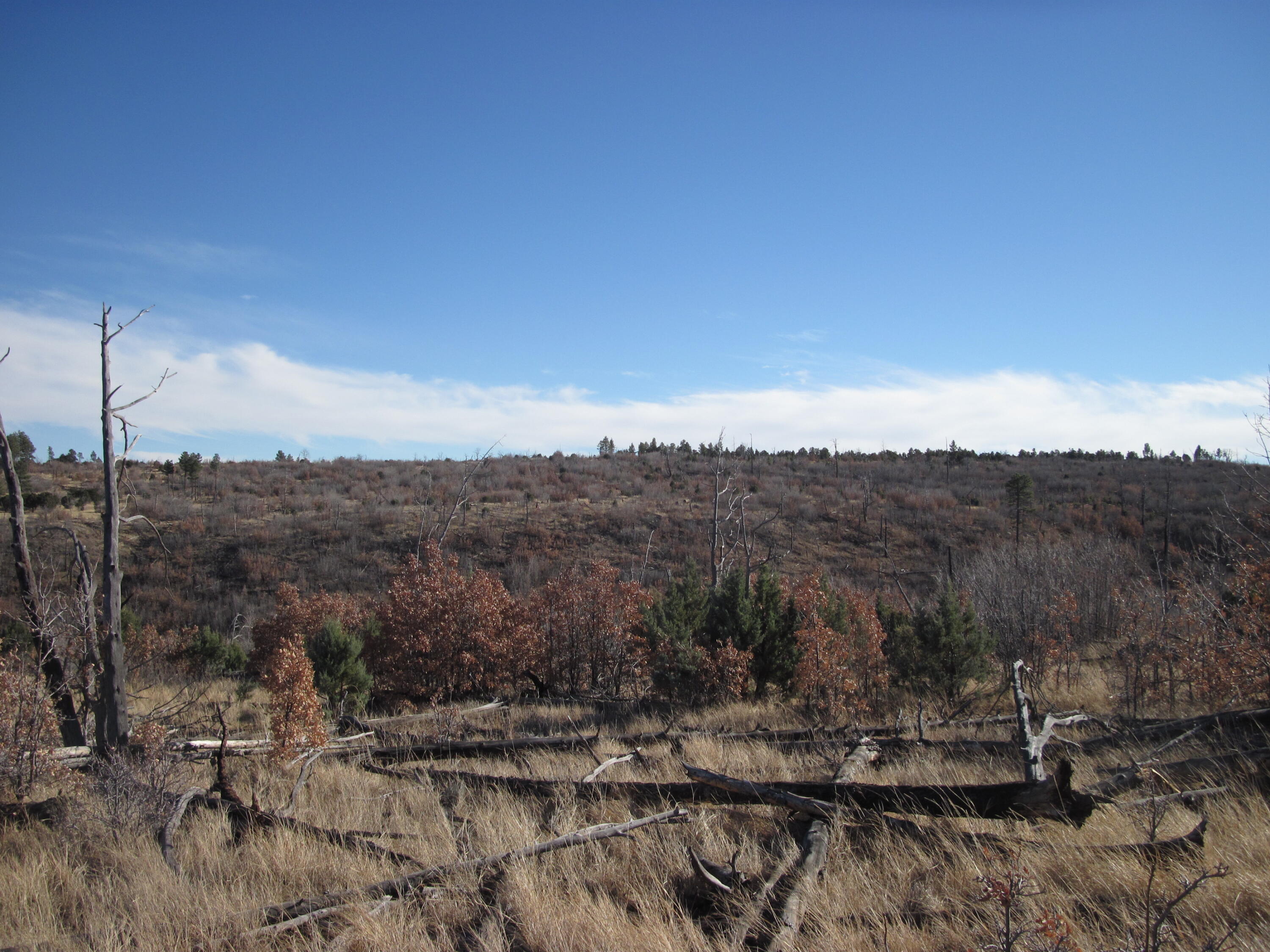 11 Lot Sherwood Forest Drive, Torreon, New Mexico image 17