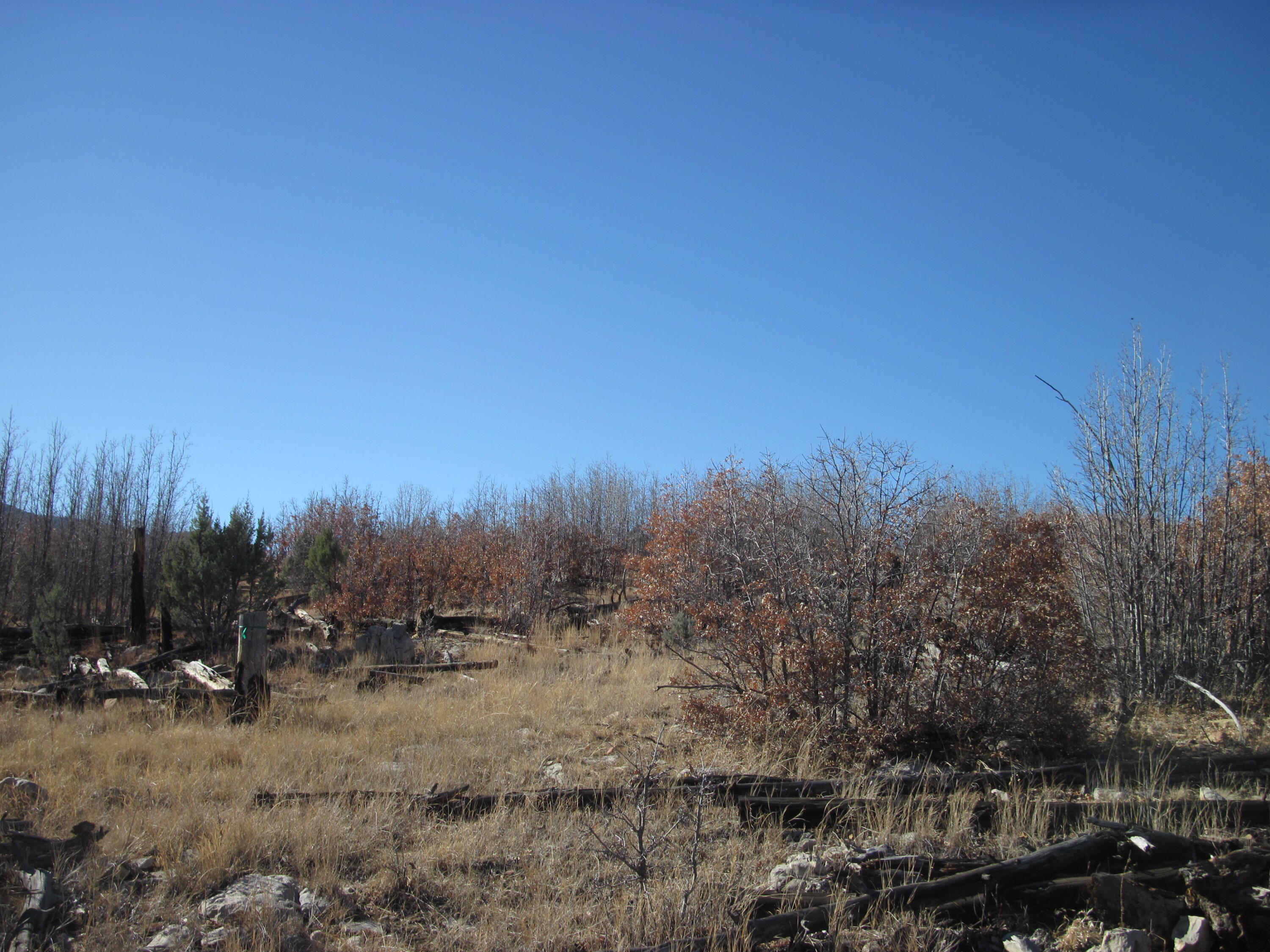 11 Lot Sherwood Forest Drive, Torreon, New Mexico image 9