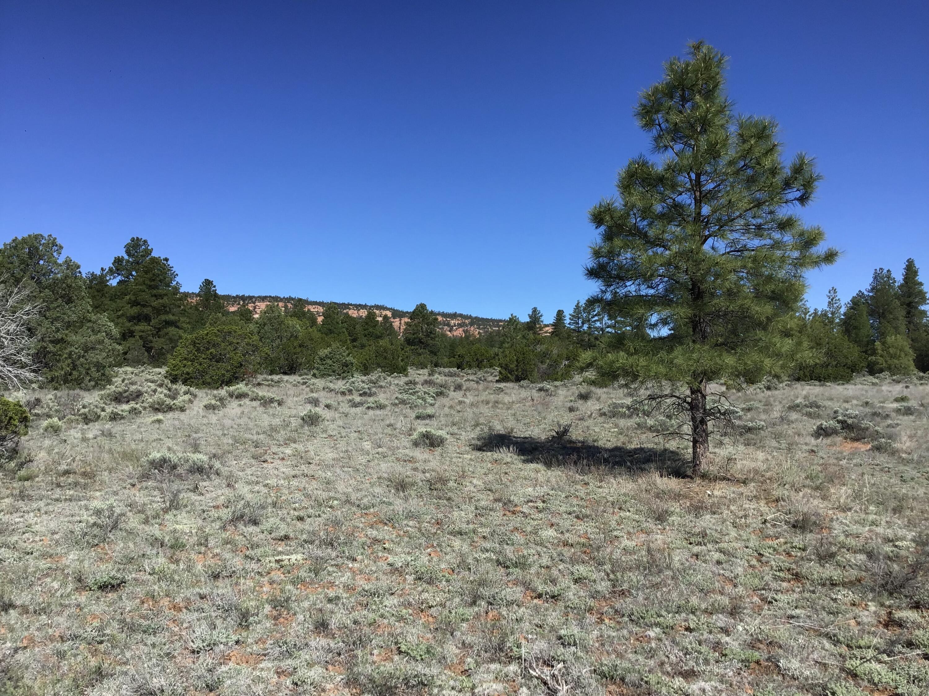 Lot 23 Cottonwood Lane, Ramah, New Mexico image 10