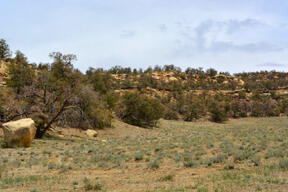 U2 Lot 54, Pie Town, New Mexico image 7