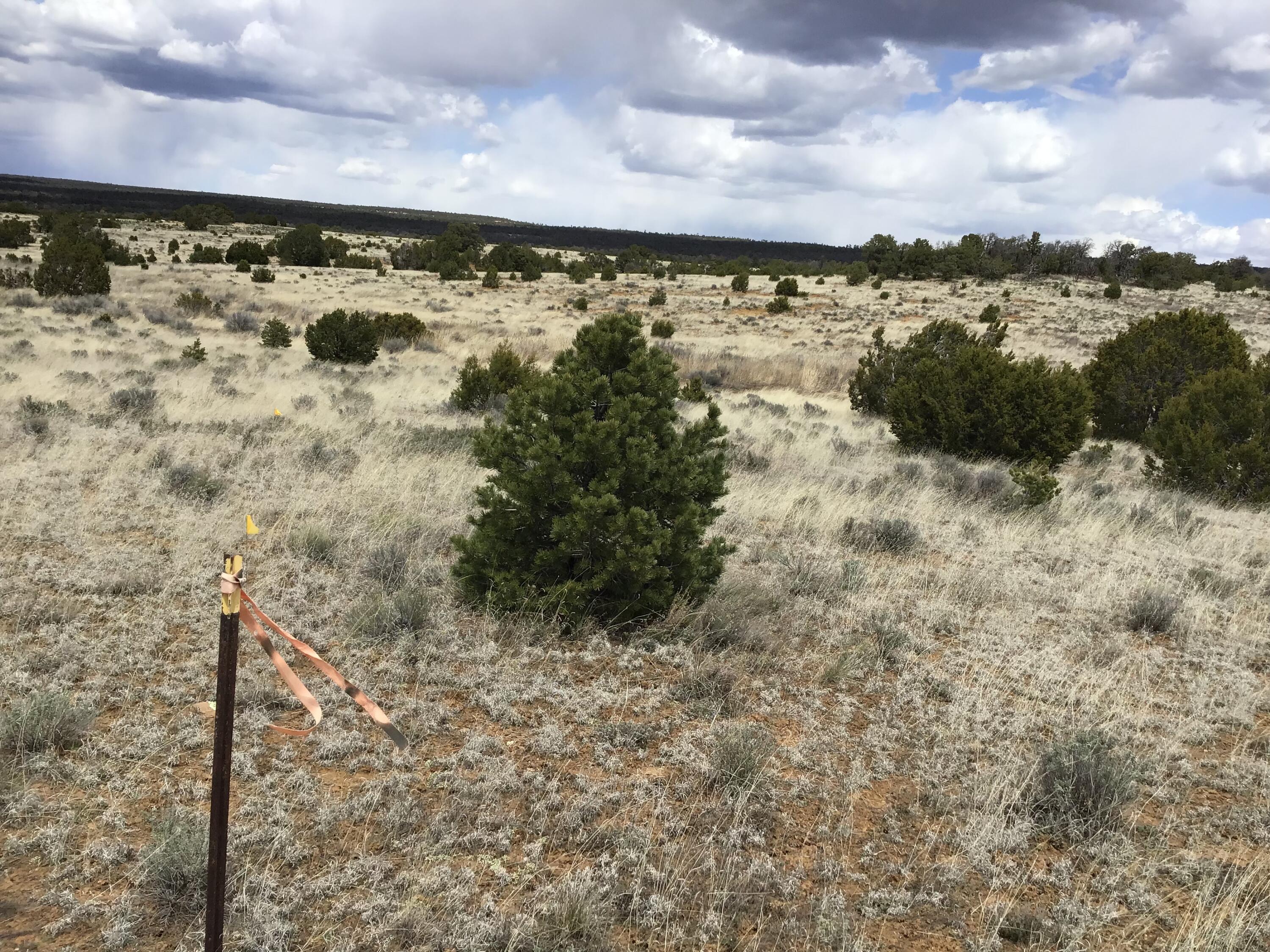 Lot 390 Commanche Drive, Ramah, New Mexico image 1