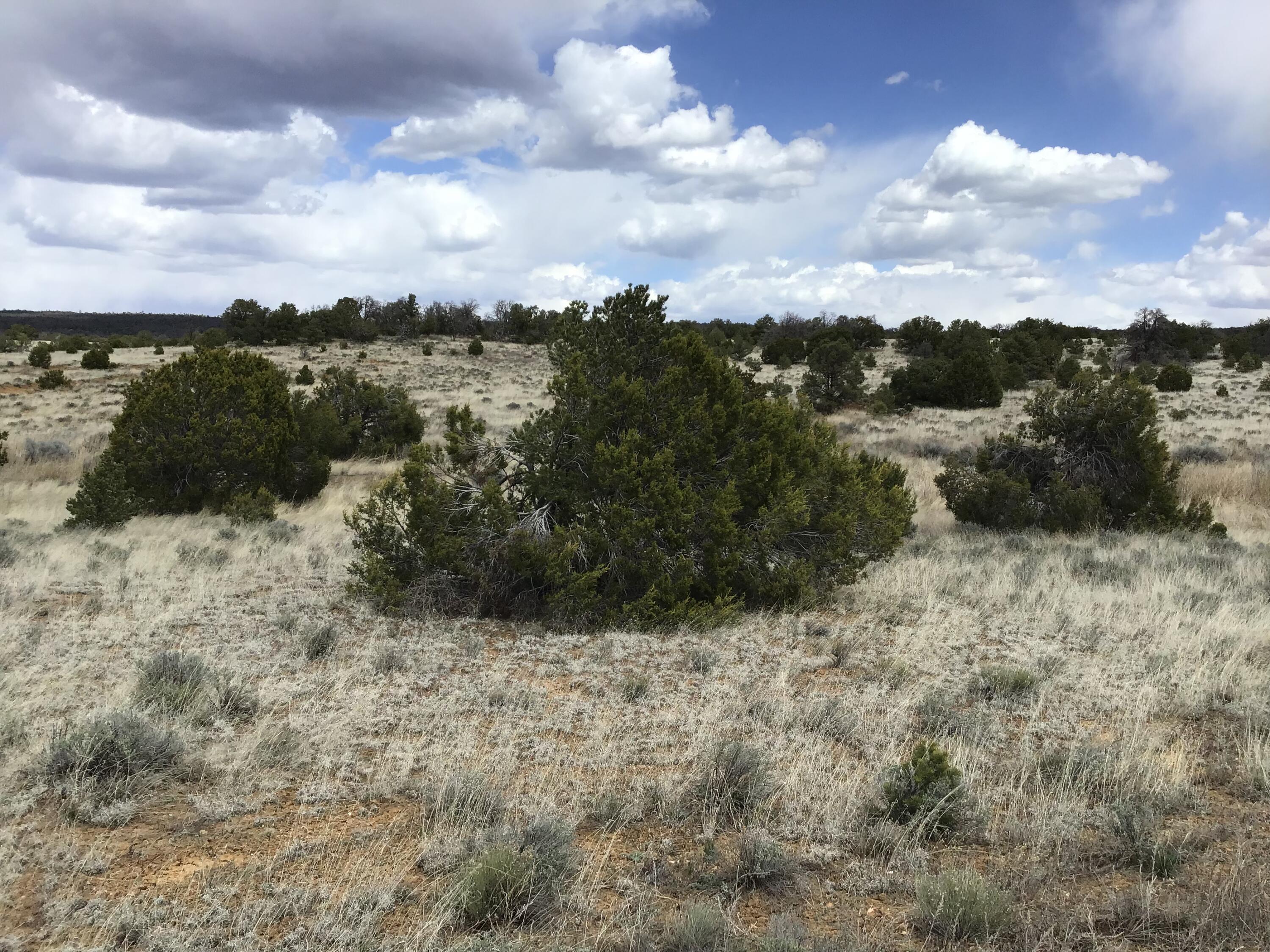 Lot 390 Commanche Drive, Ramah, New Mexico image 3