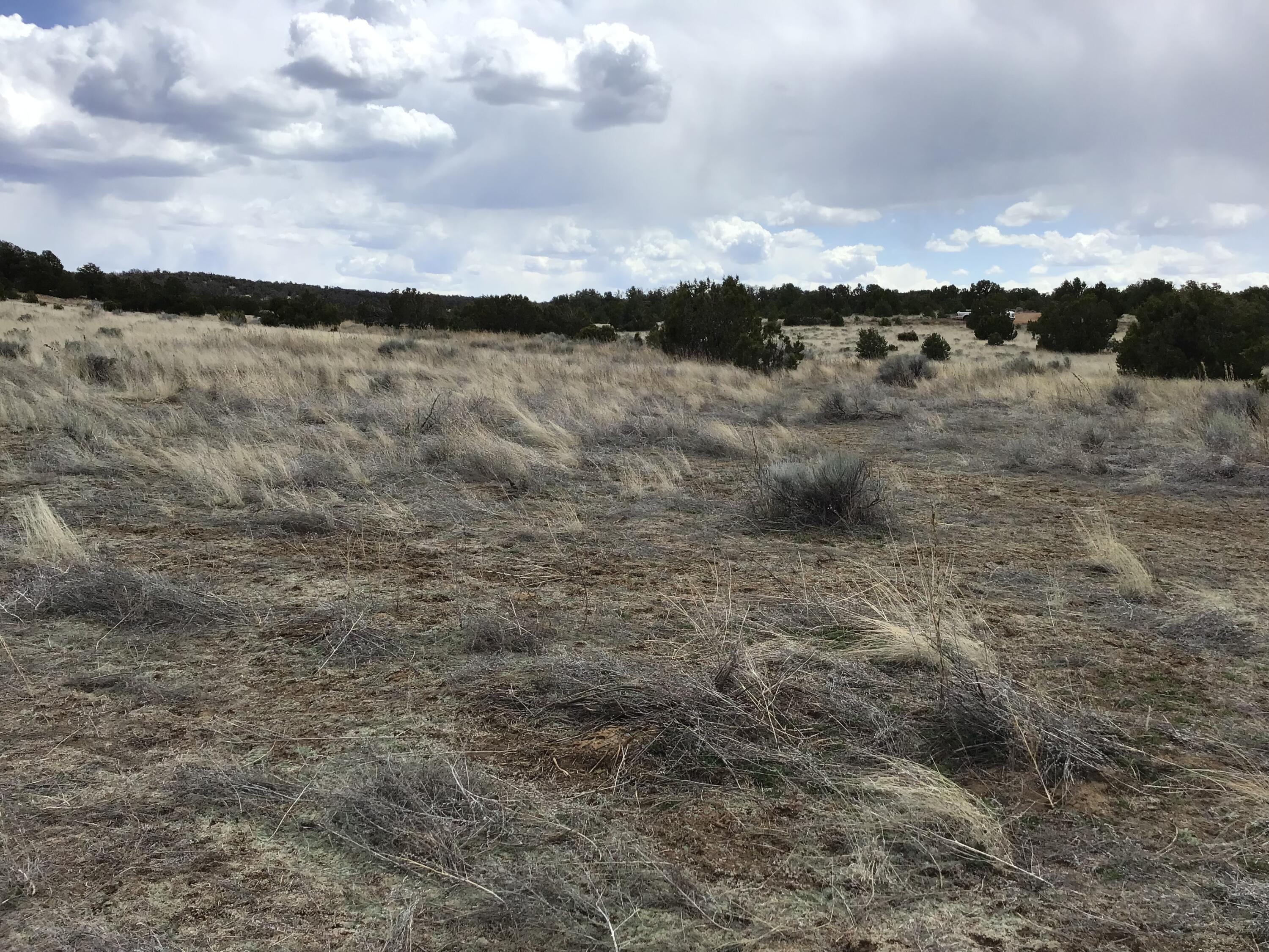 Lot 390 Commanche Drive, Ramah, New Mexico image 21