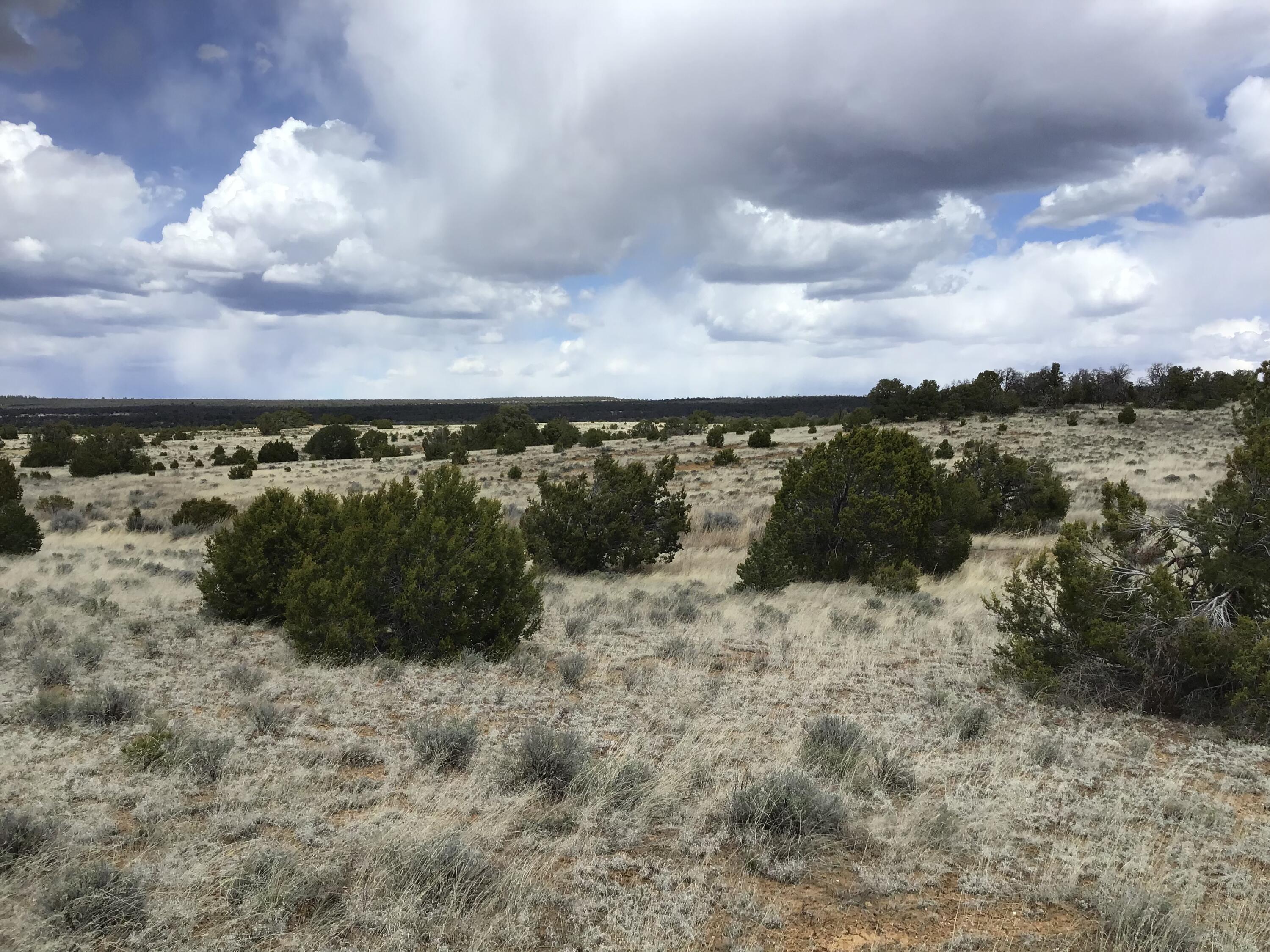 Lot 390 Commanche Drive, Ramah, New Mexico image 8