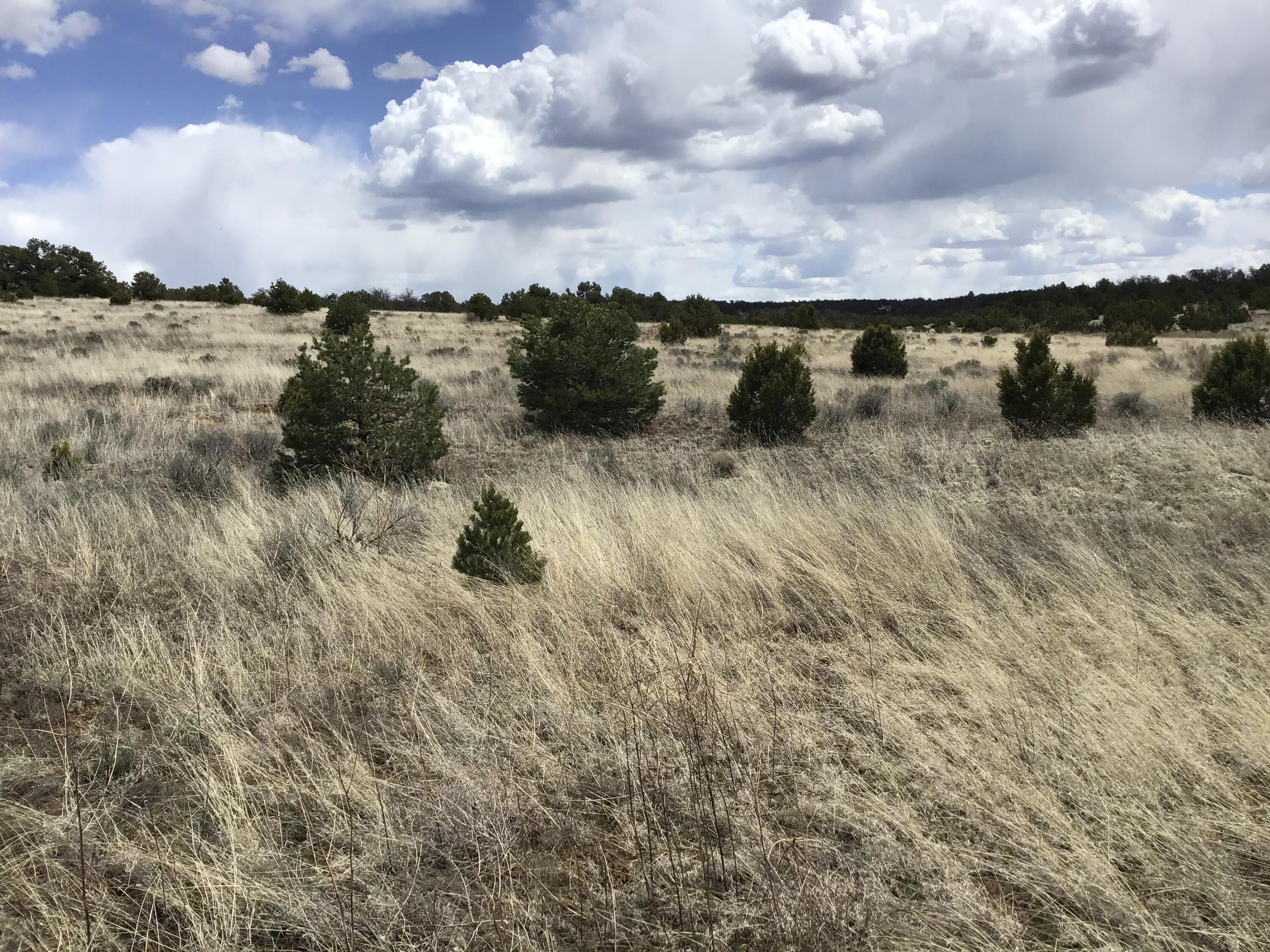 Lot 390 Commanche Drive, Ramah, New Mexico image 15