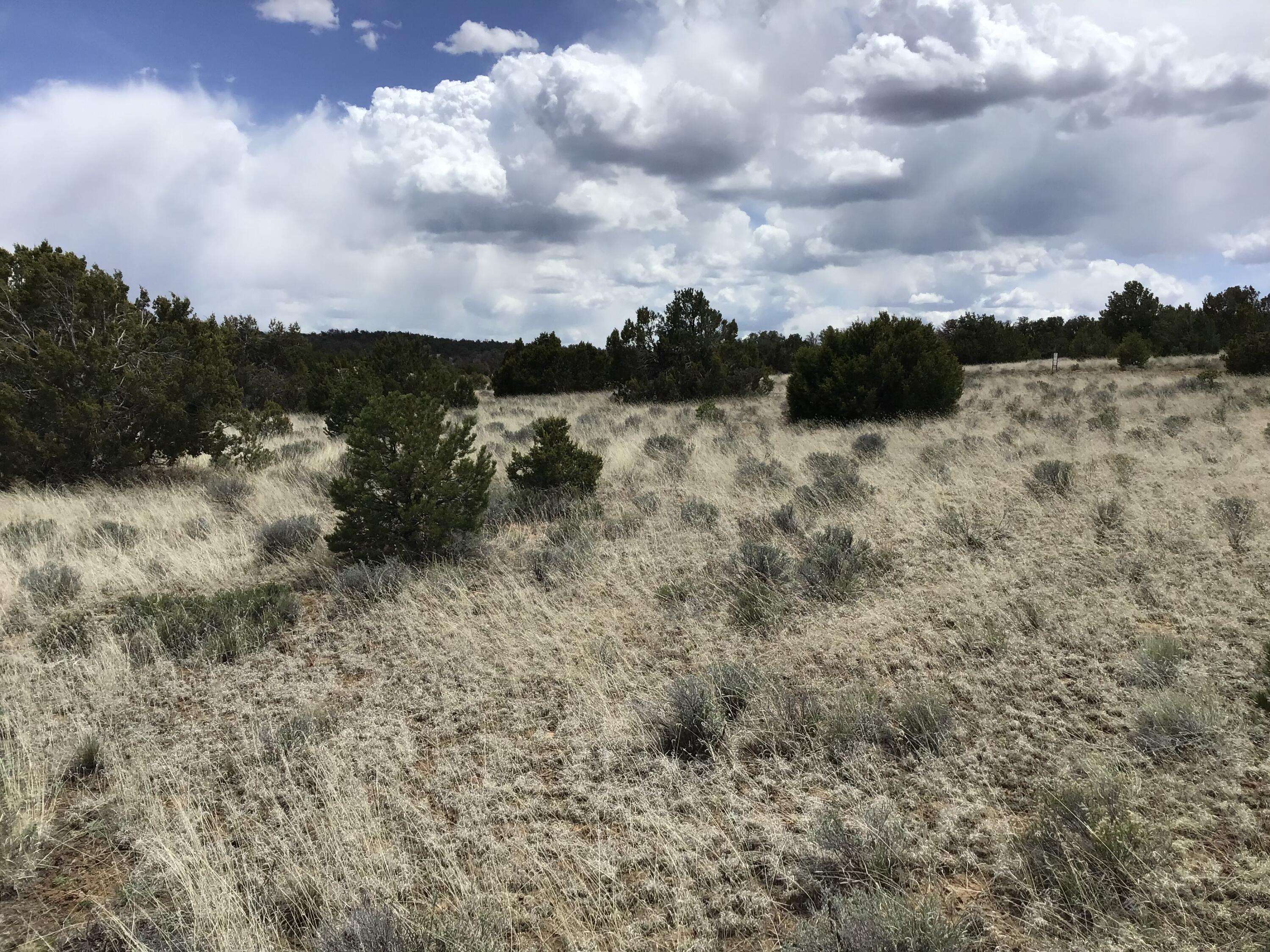 Lot 390 Commanche Drive, Ramah, New Mexico image 9