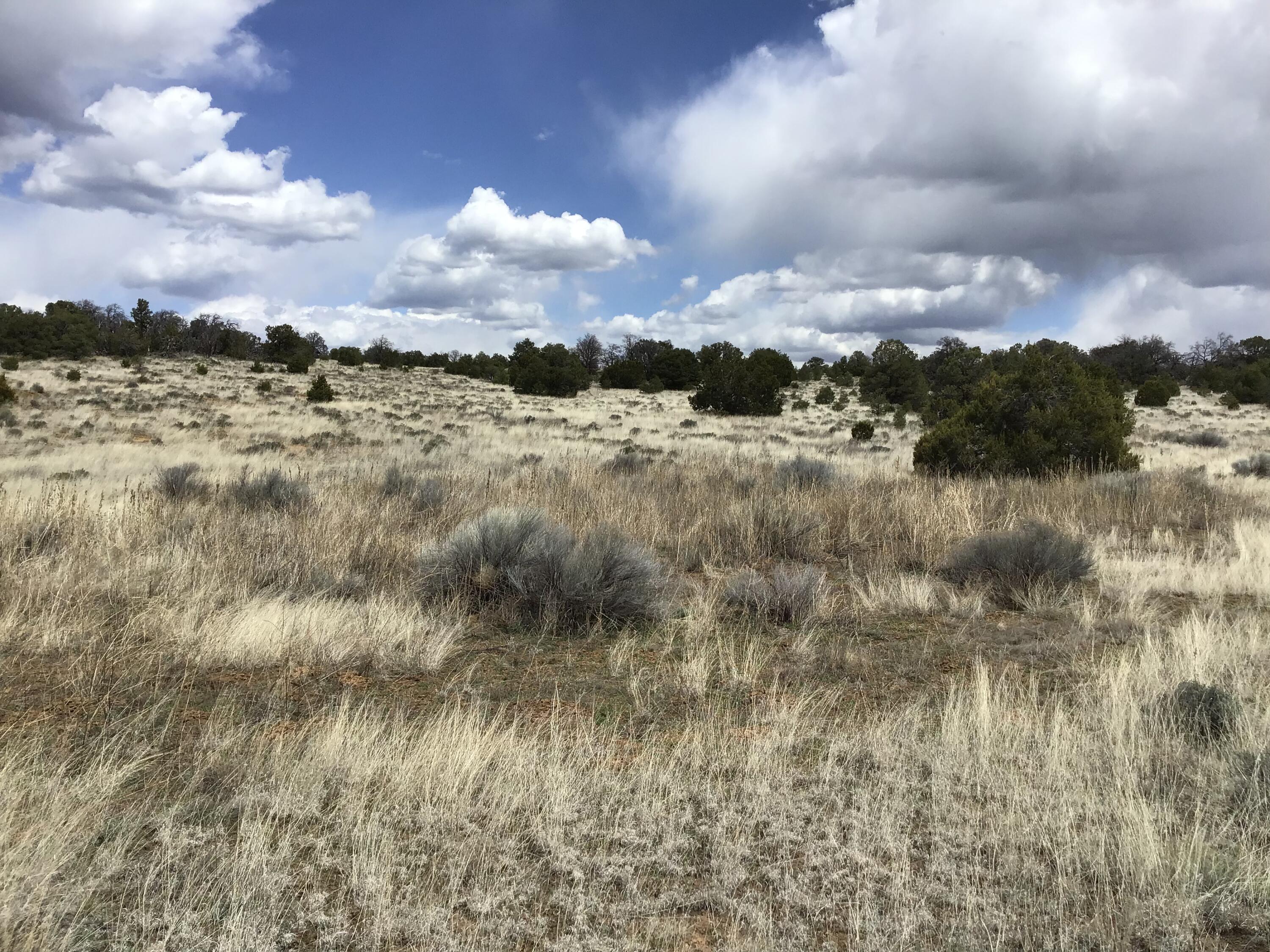 Lot 390 Commanche Drive, Ramah, New Mexico image 11