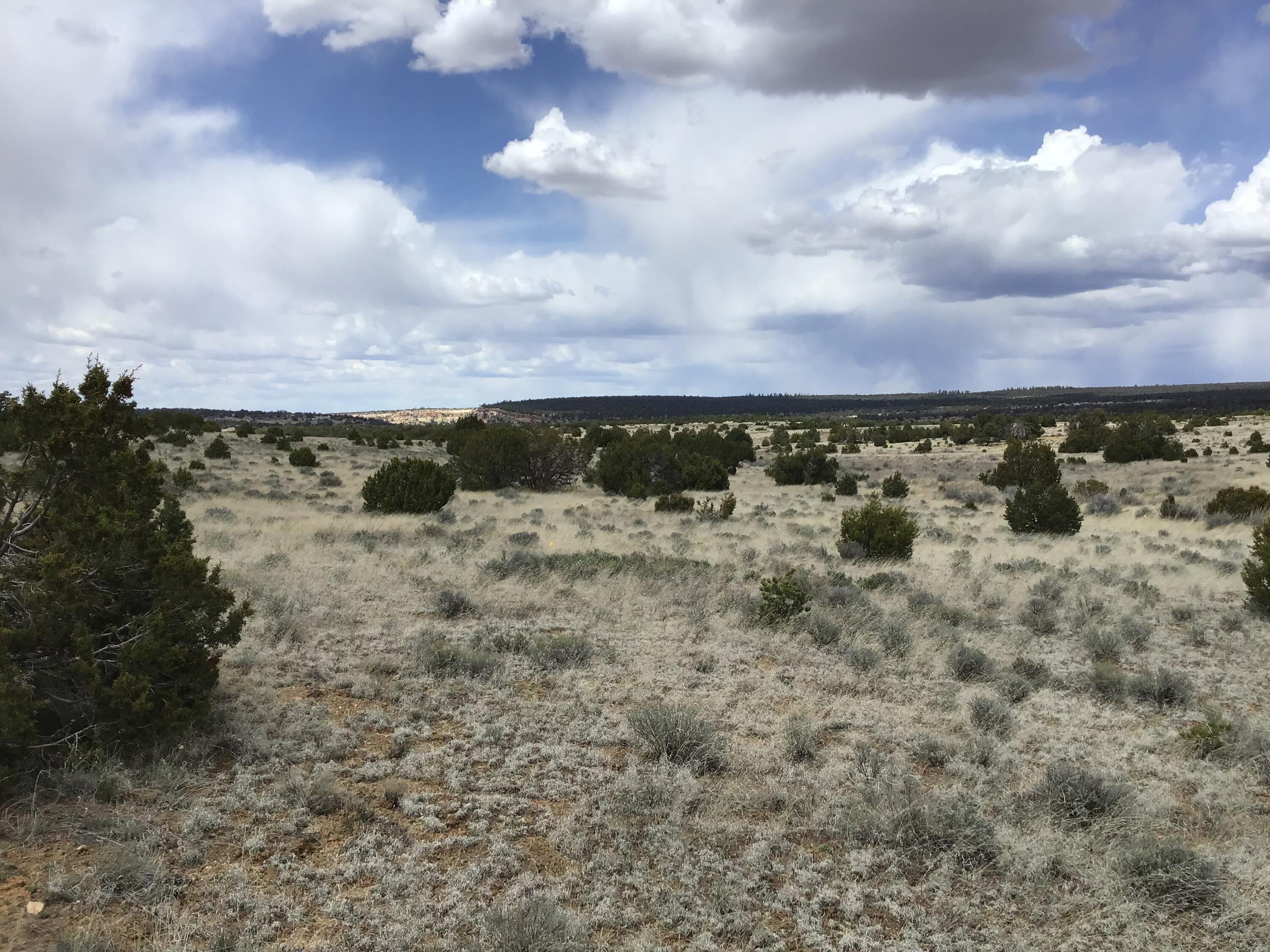 Lot 390 Commanche Drive, Ramah, New Mexico image 6