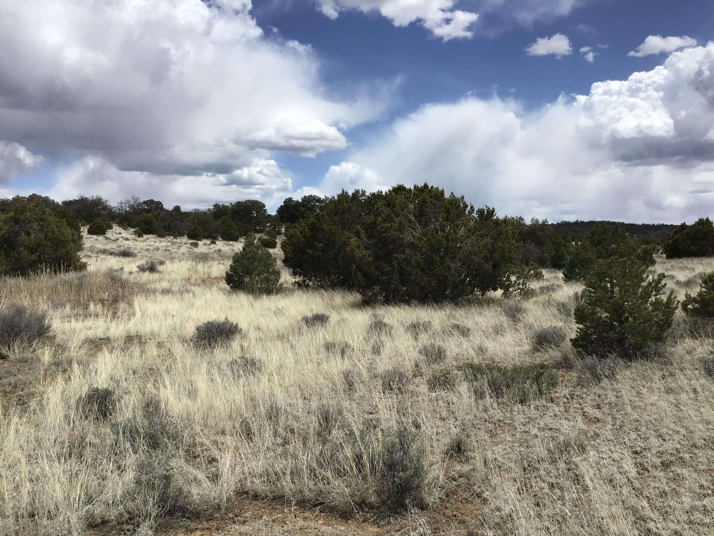 Lot 390 Commanche Drive, Ramah, New Mexico image 10