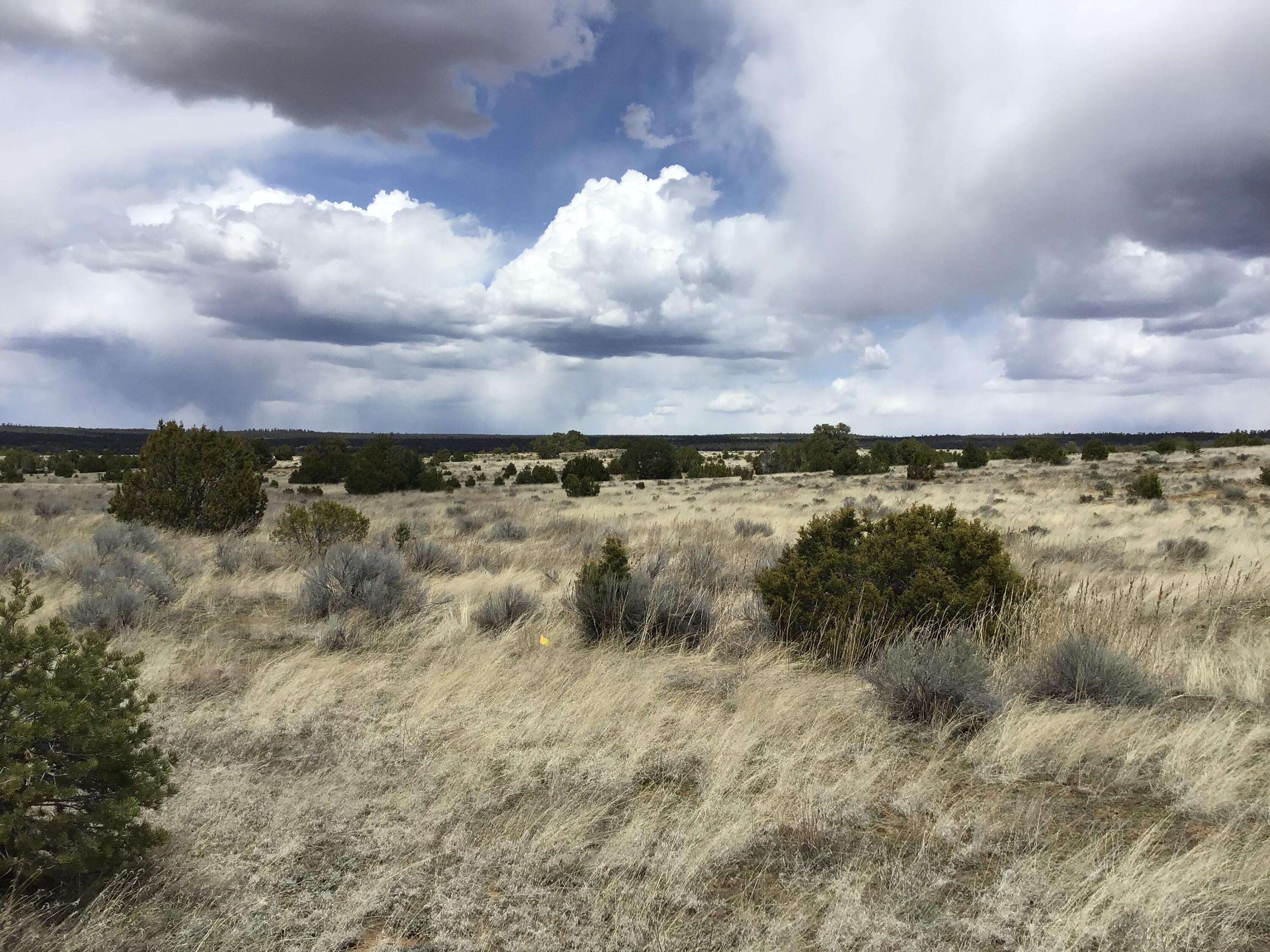 Lot 390 Commanche Drive, Ramah, New Mexico image 13