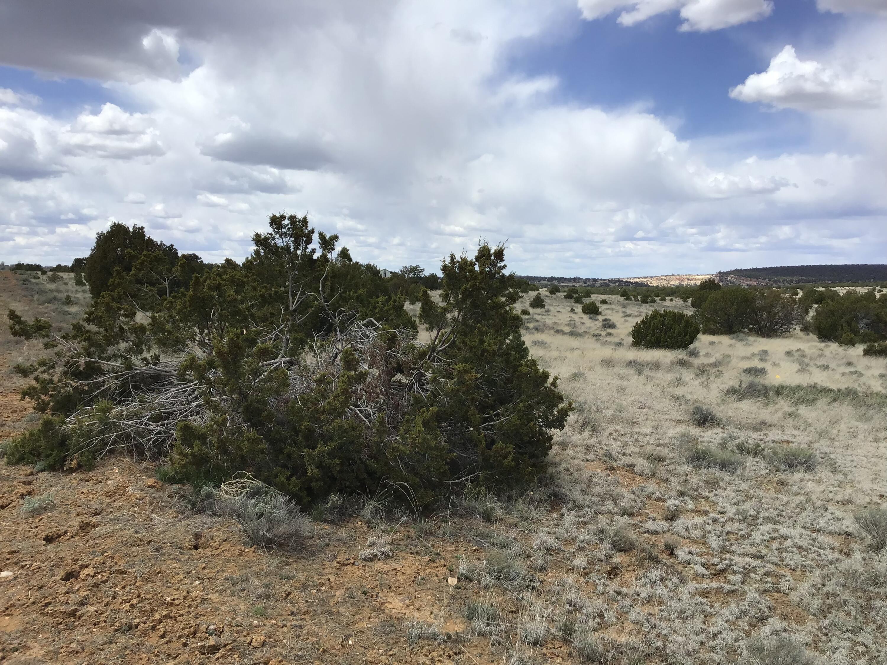 Lot 390 Commanche Drive, Ramah, New Mexico image 5