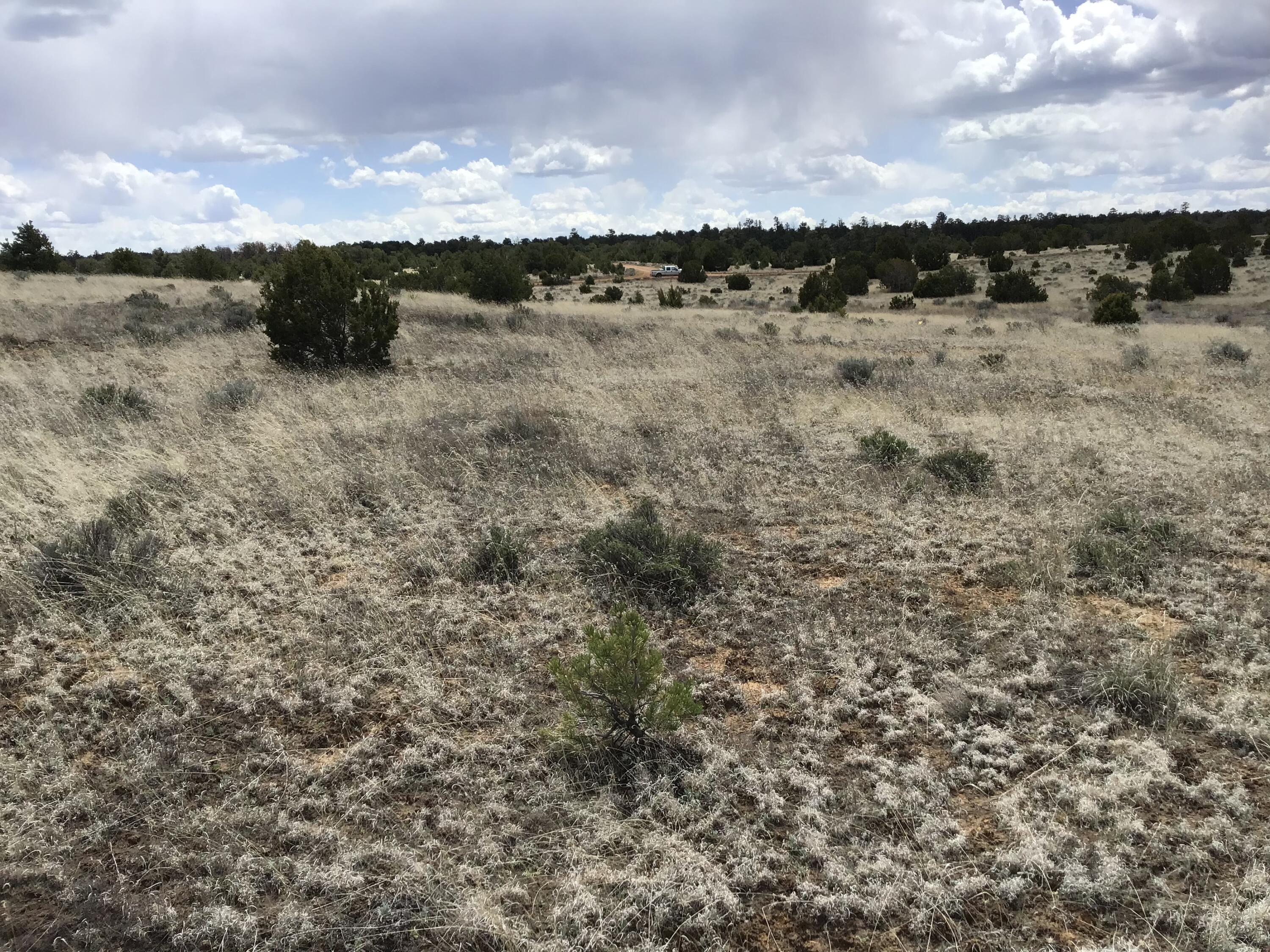 Lot 390 Commanche Drive, Ramah, New Mexico image 16