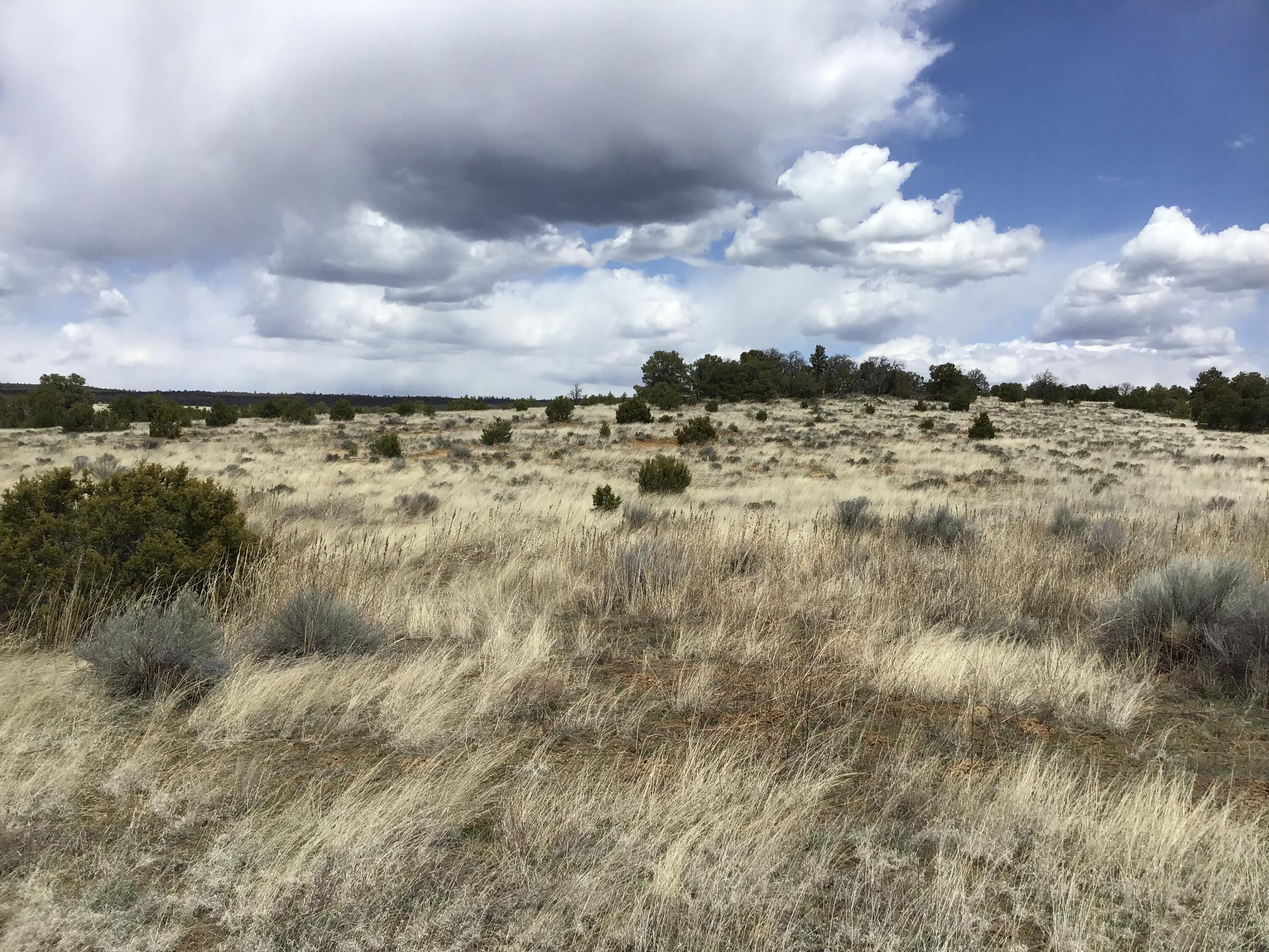 Lot 390 Commanche Drive, Ramah, New Mexico image 12