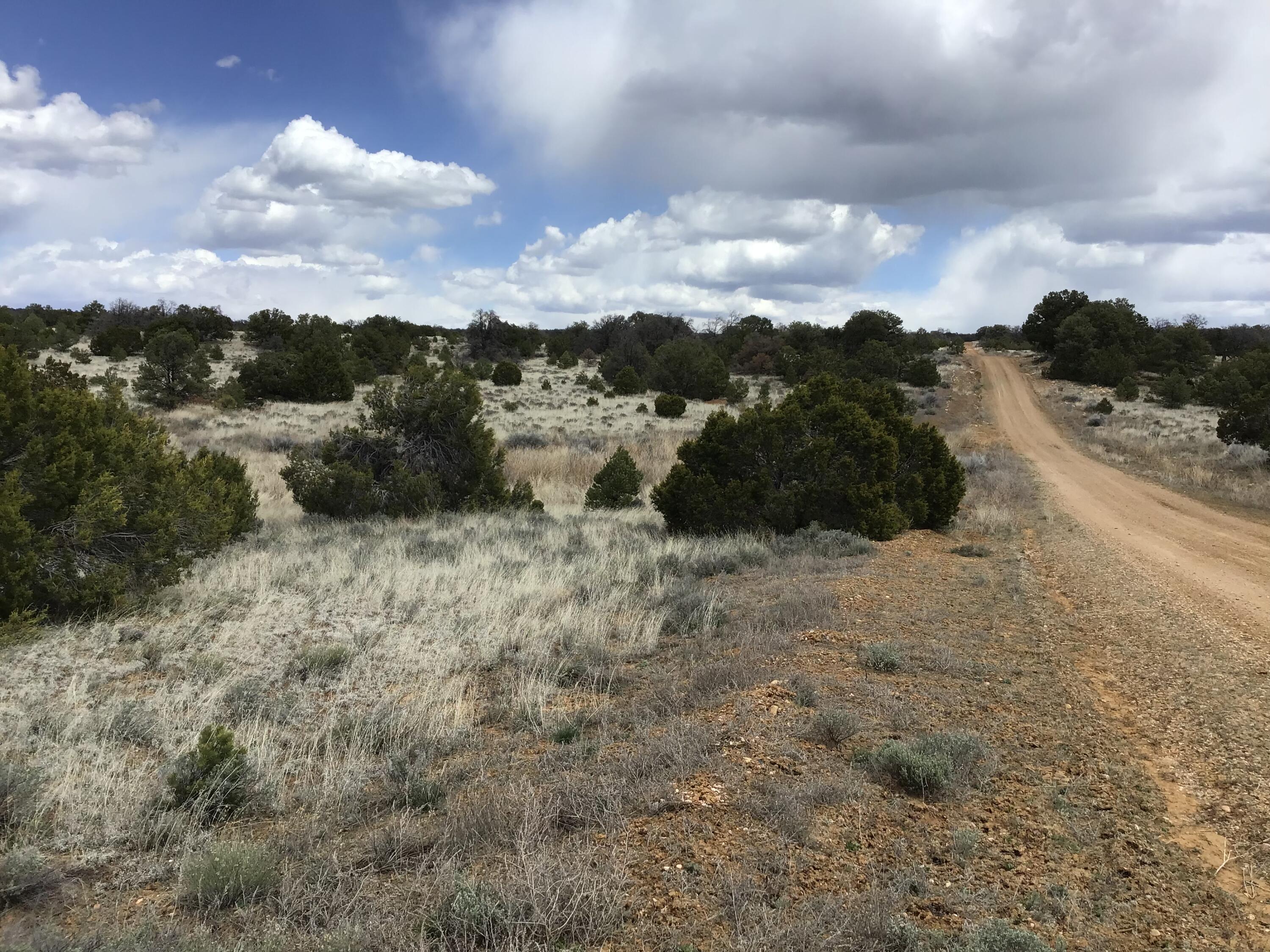 Lot 390 Commanche Drive, Ramah, New Mexico image 4