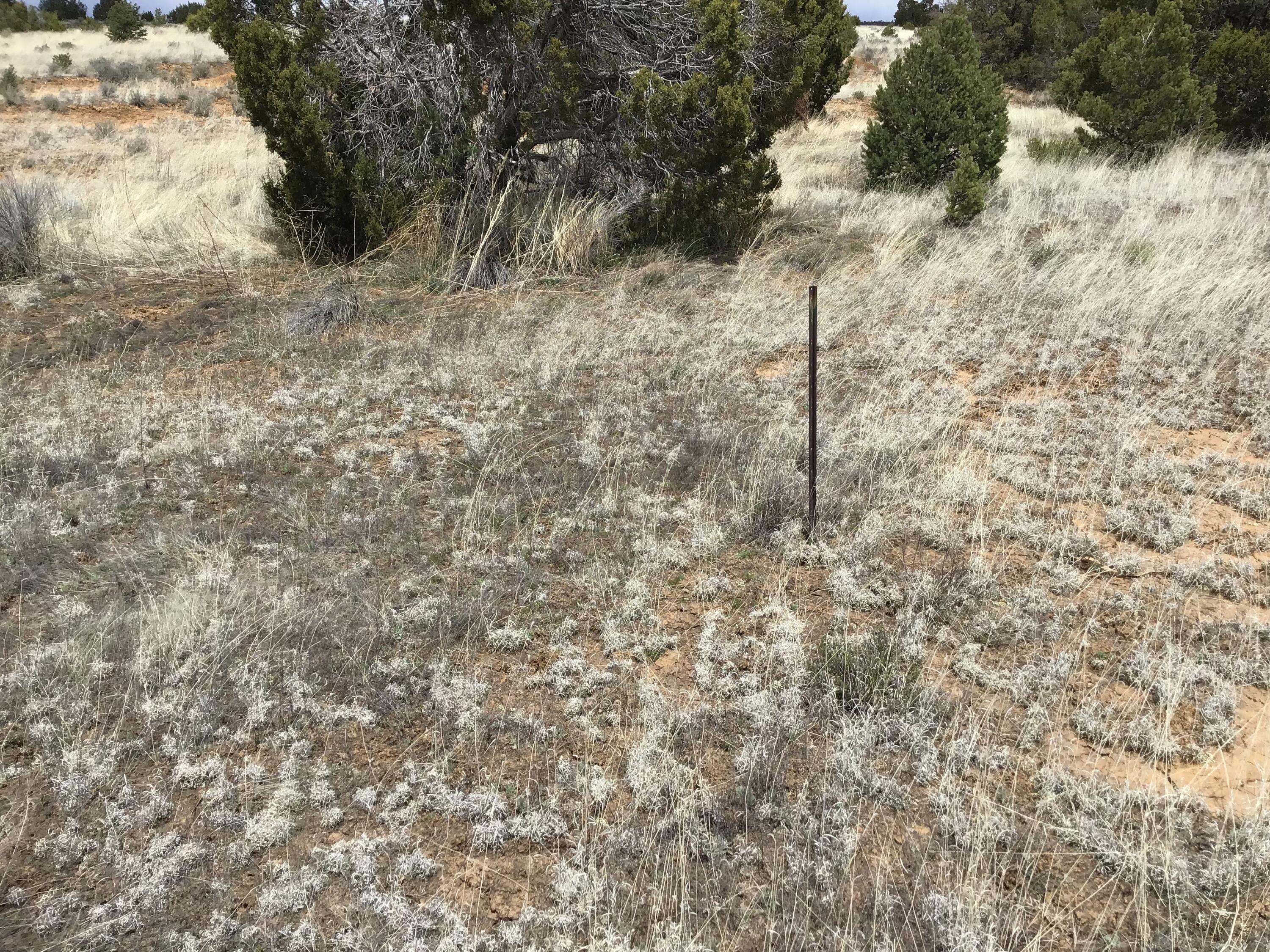 Lot 390 Commanche Drive, Ramah, New Mexico image 17