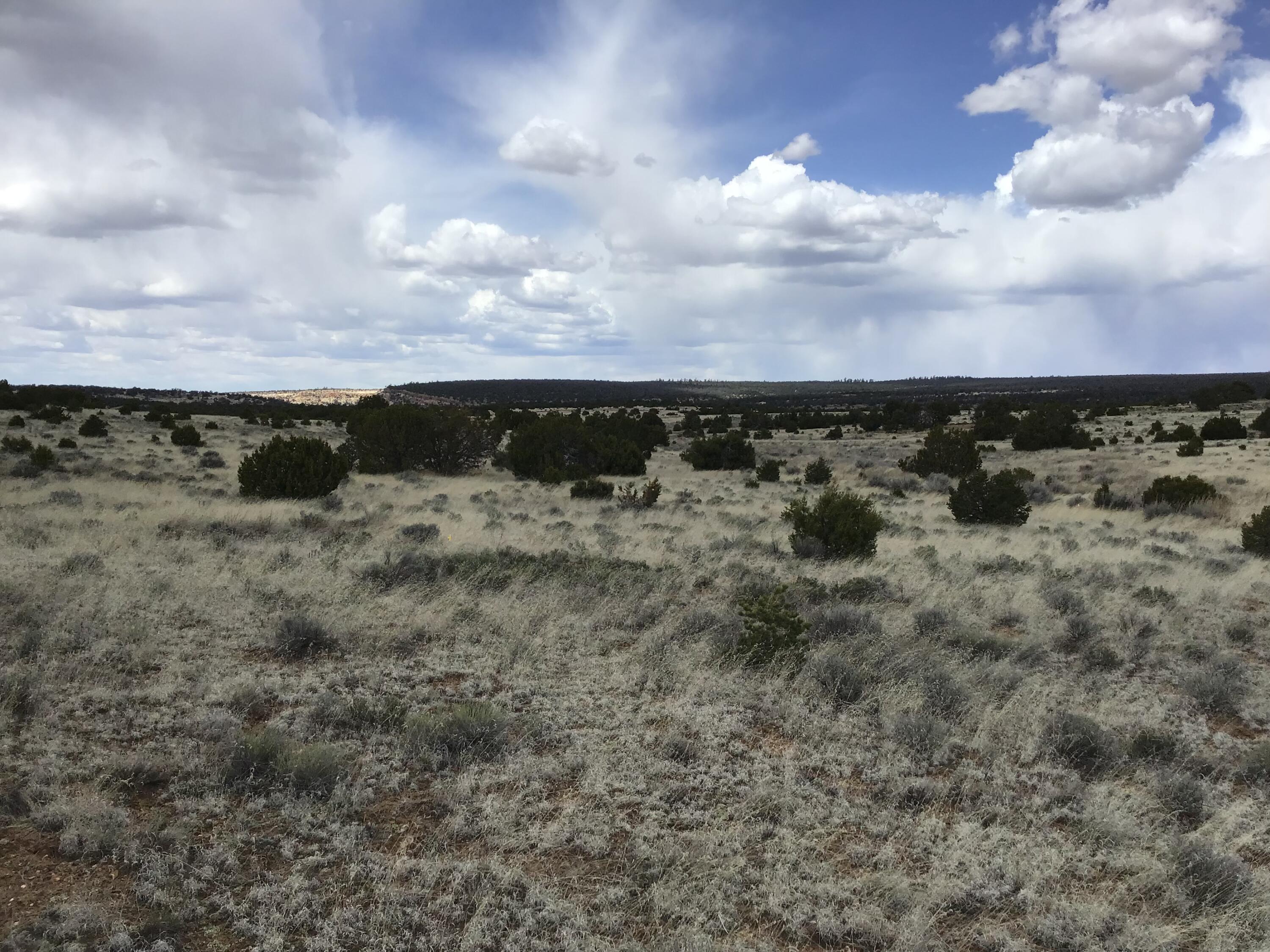 Lot 390 Commanche Drive, Ramah, New Mexico image 24