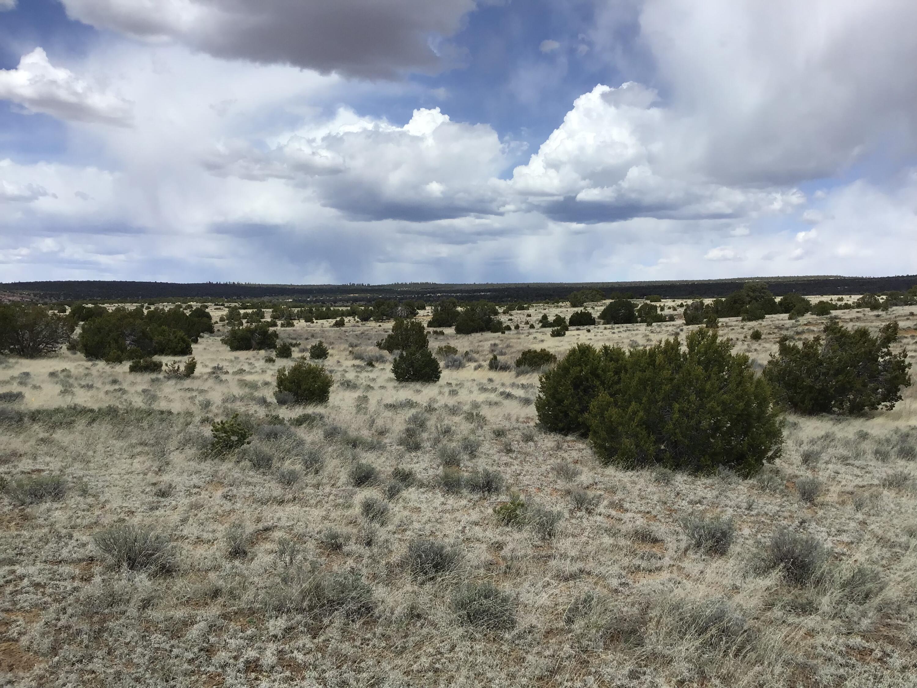 Lot 390 Commanche Drive, Ramah, New Mexico image 7