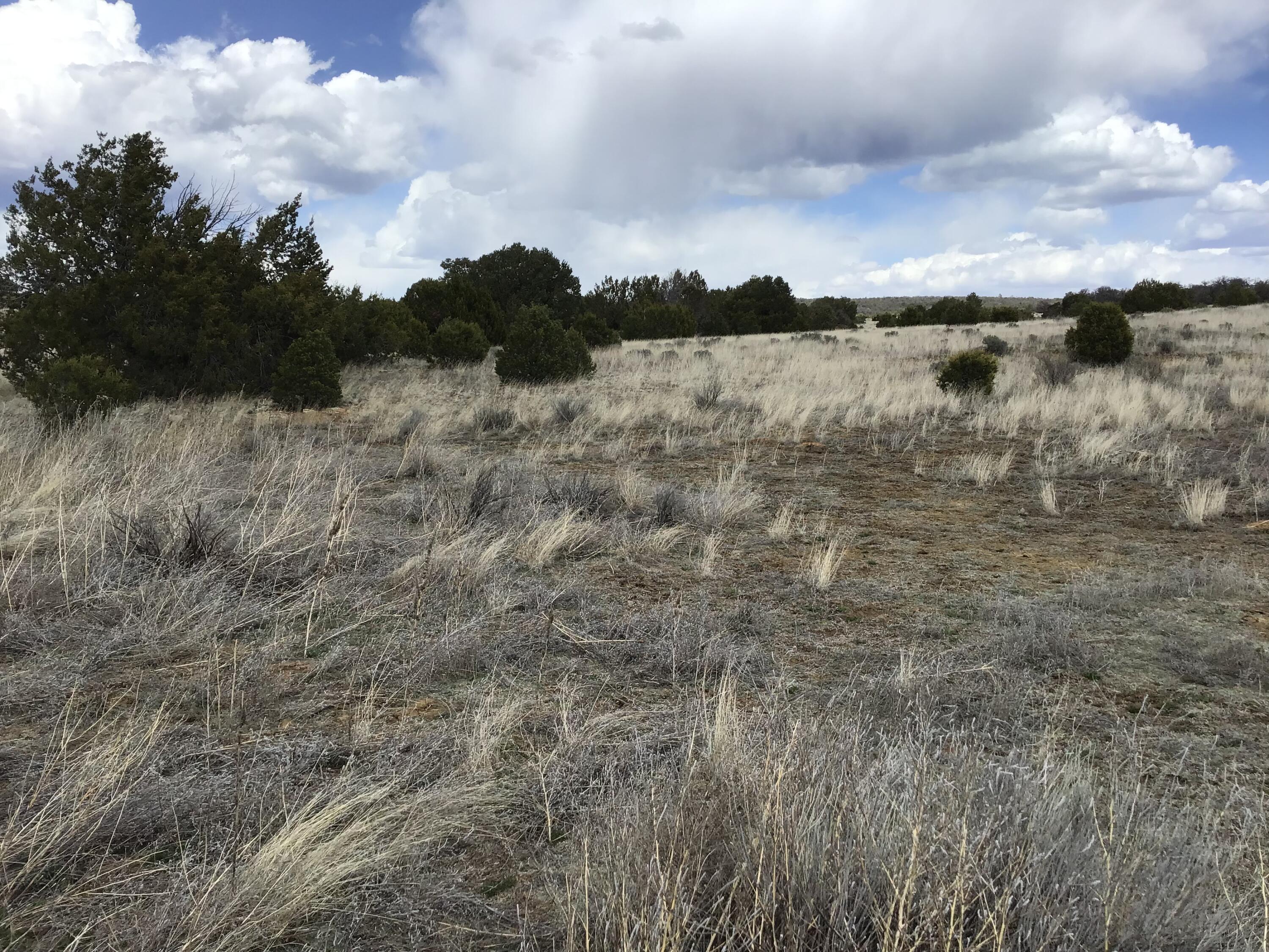 Lot 390 Commanche Drive, Ramah, New Mexico image 20