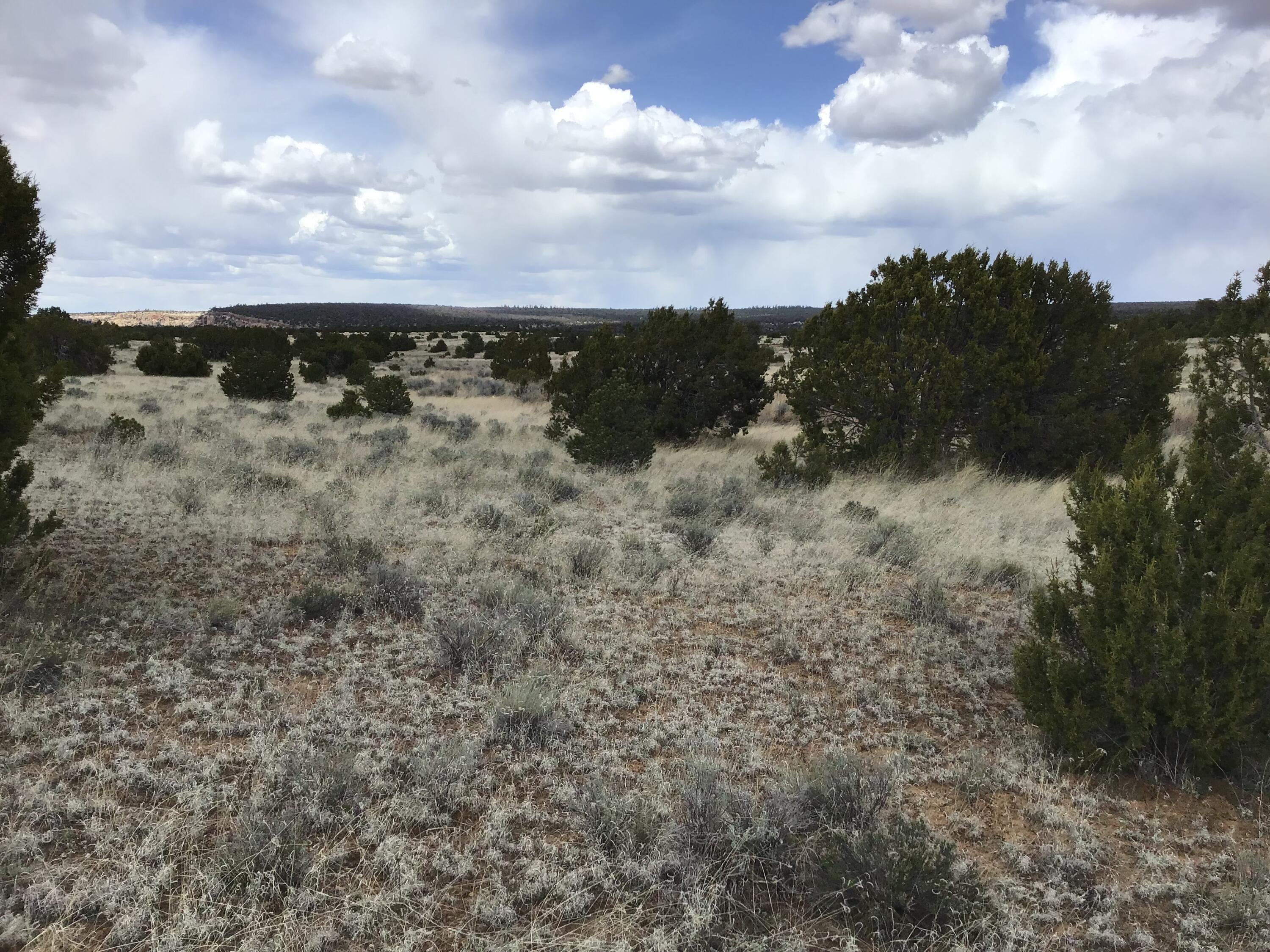 Lot 390 Commanche Drive, Ramah, New Mexico image 23