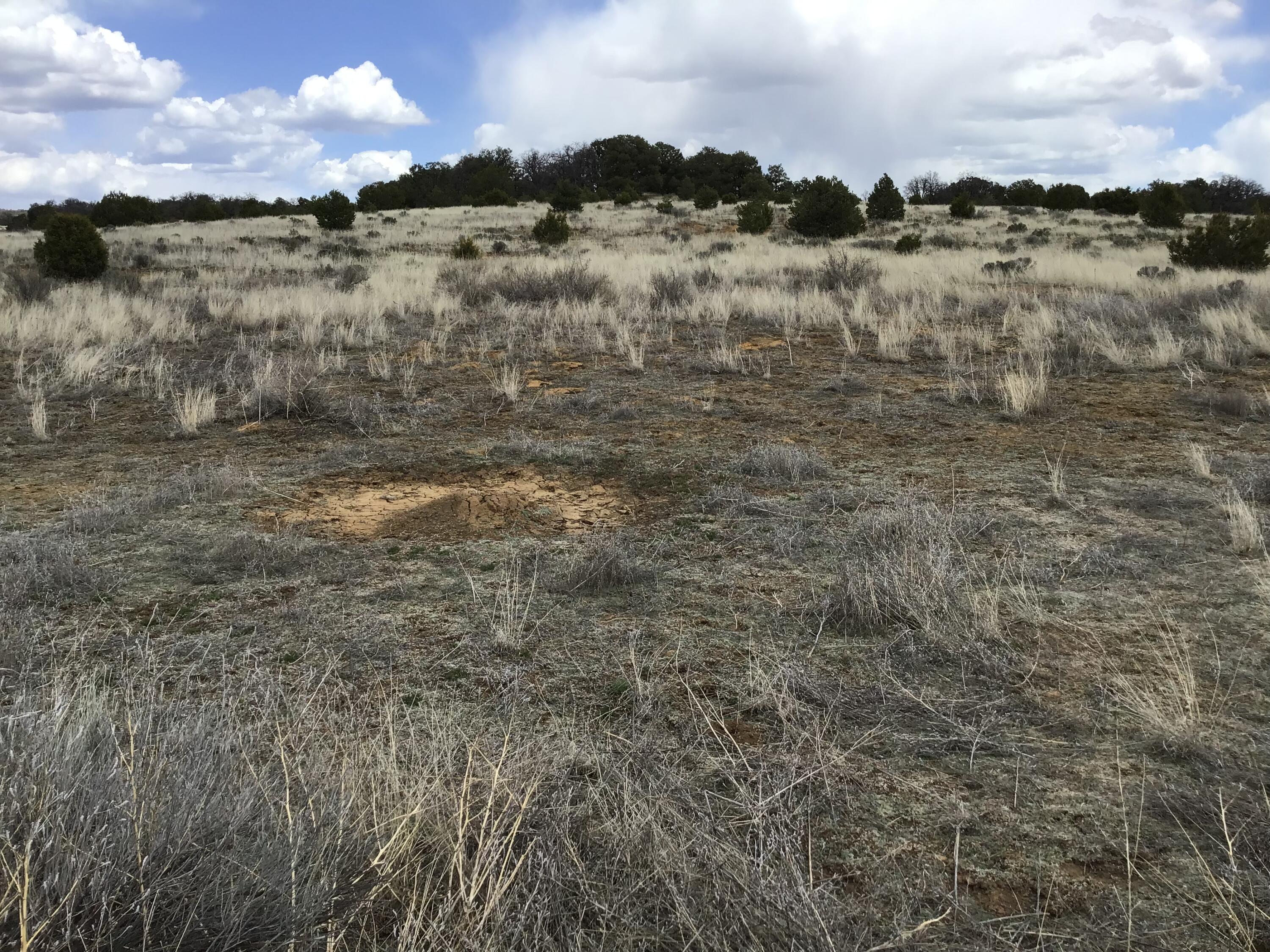 Lot 390 Commanche Drive, Ramah, New Mexico image 19