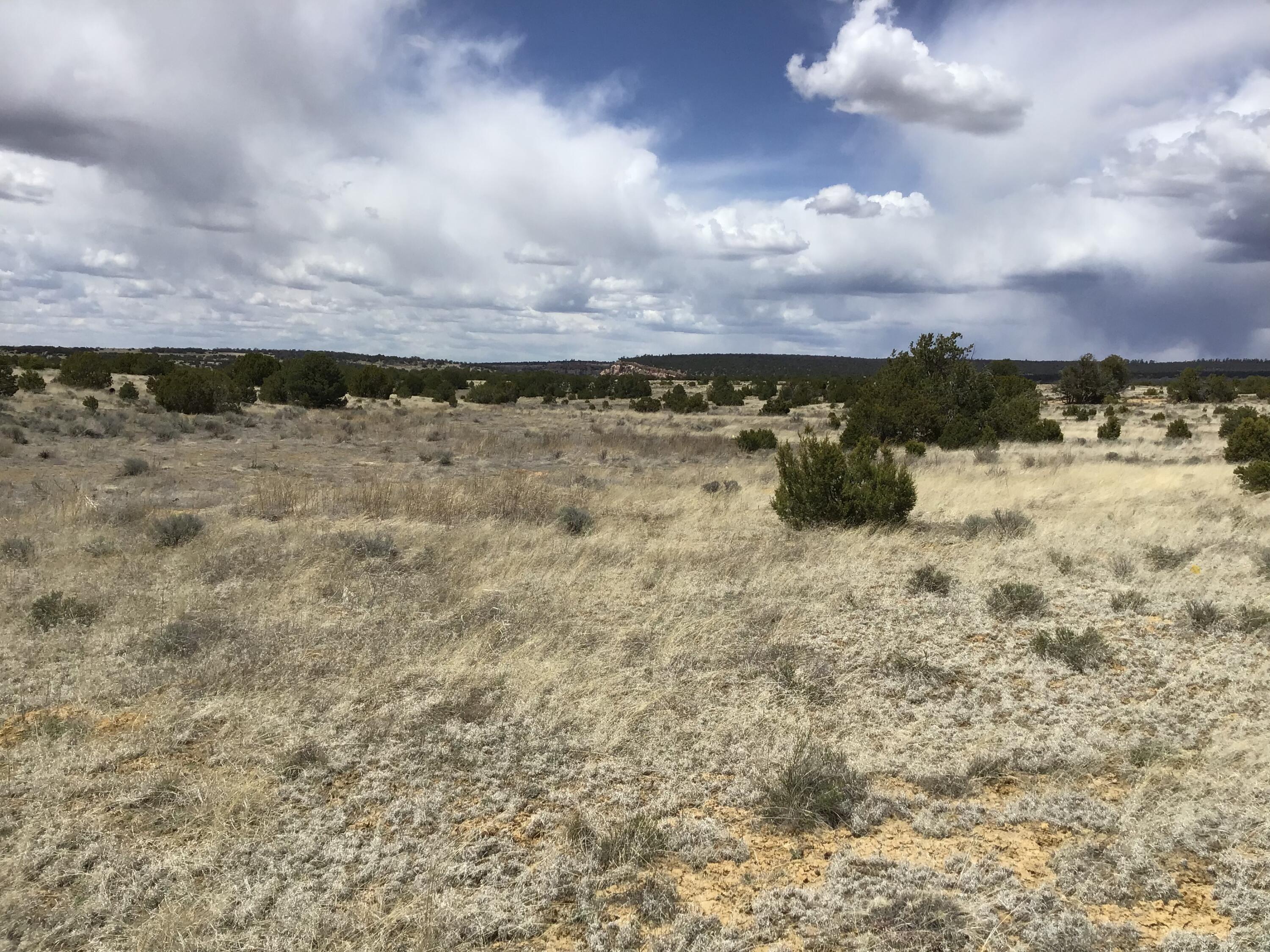 Lot 390 Commanche Drive, Ramah, New Mexico image 18