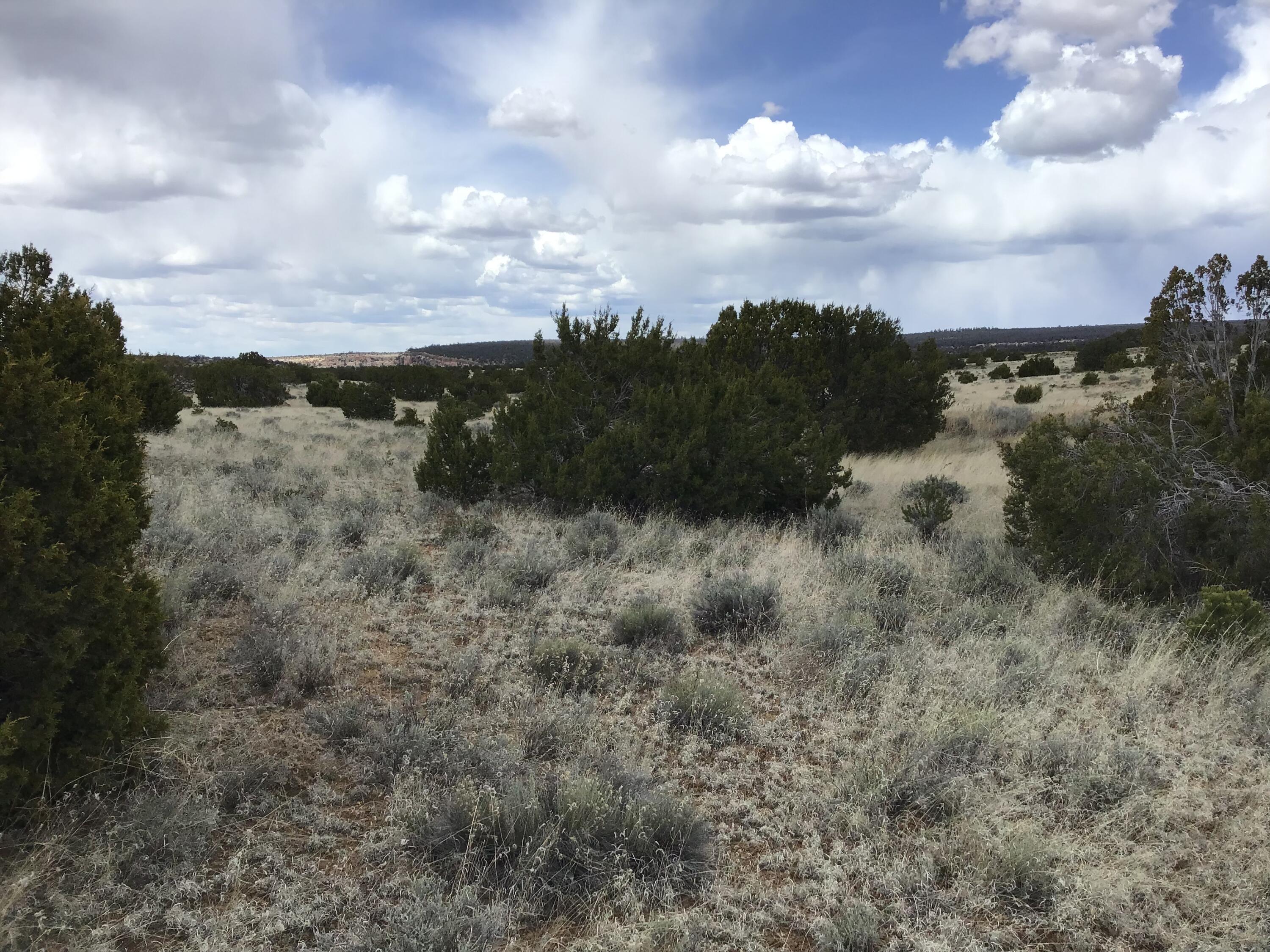 Lot 390 Commanche Drive, Ramah, New Mexico image 22