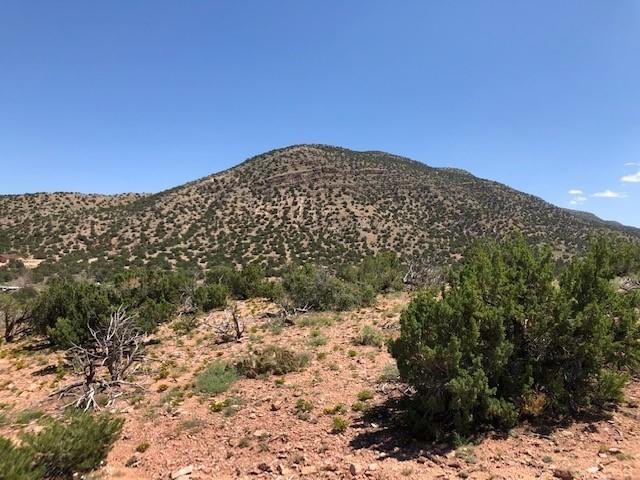 2-B Camino Del Cuervo, Placitas, New Mexico image 23