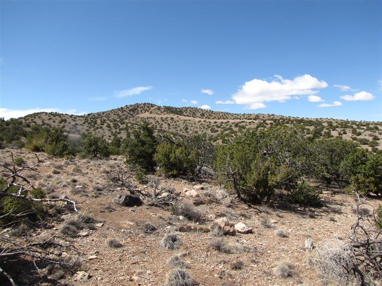 2-B Camino Del Cuervo, Placitas, New Mexico image 11