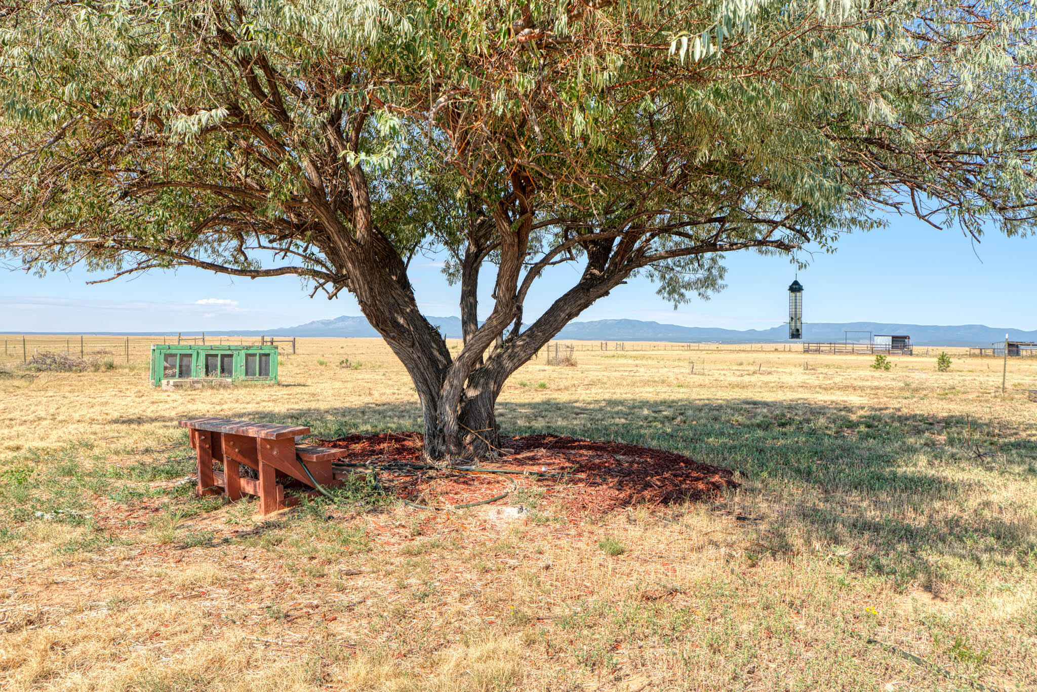 100 Bluegrass S Road