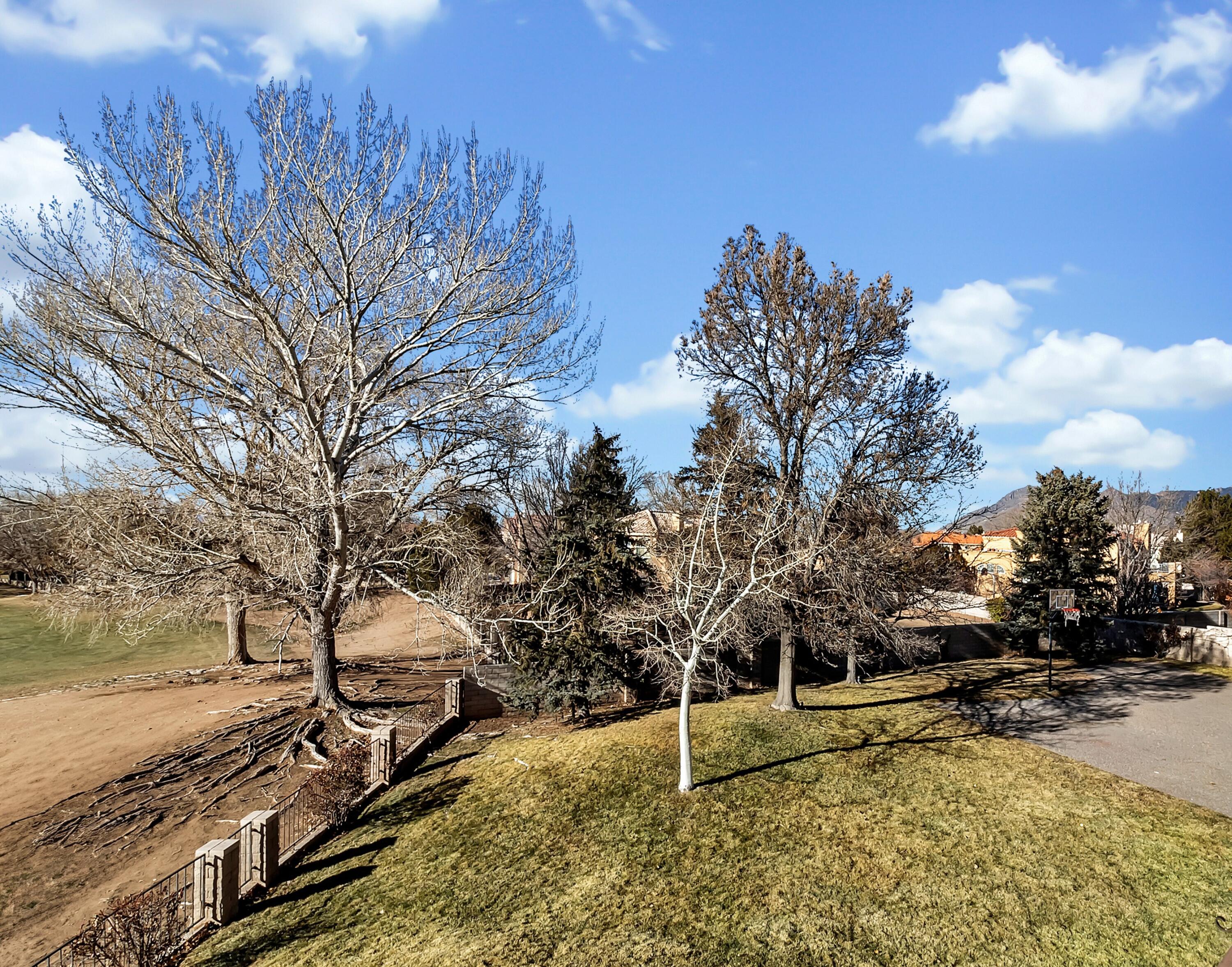 Woodmar Lane, Albuquerque, New Mexico image 1