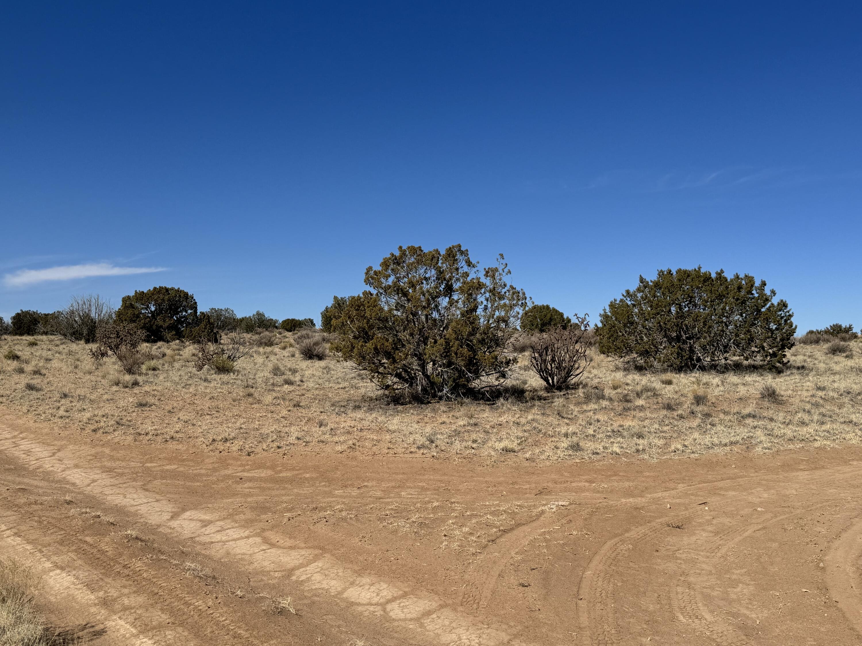 Deneb Court, Rio Rancho, New Mexico image 1