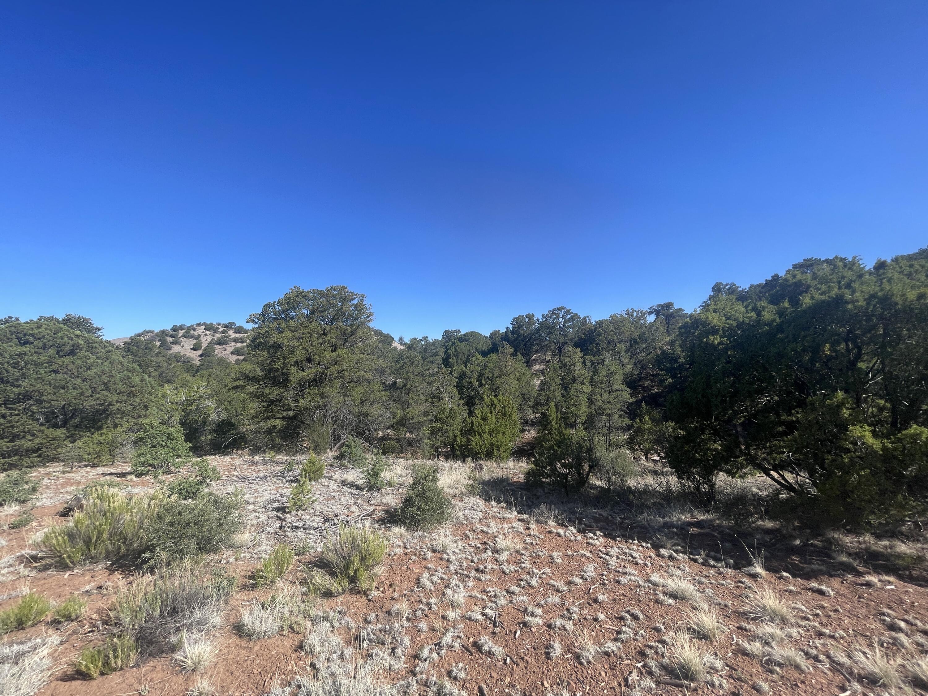 39.33 Patterson Canyon, Magdalena, New Mexico image 36