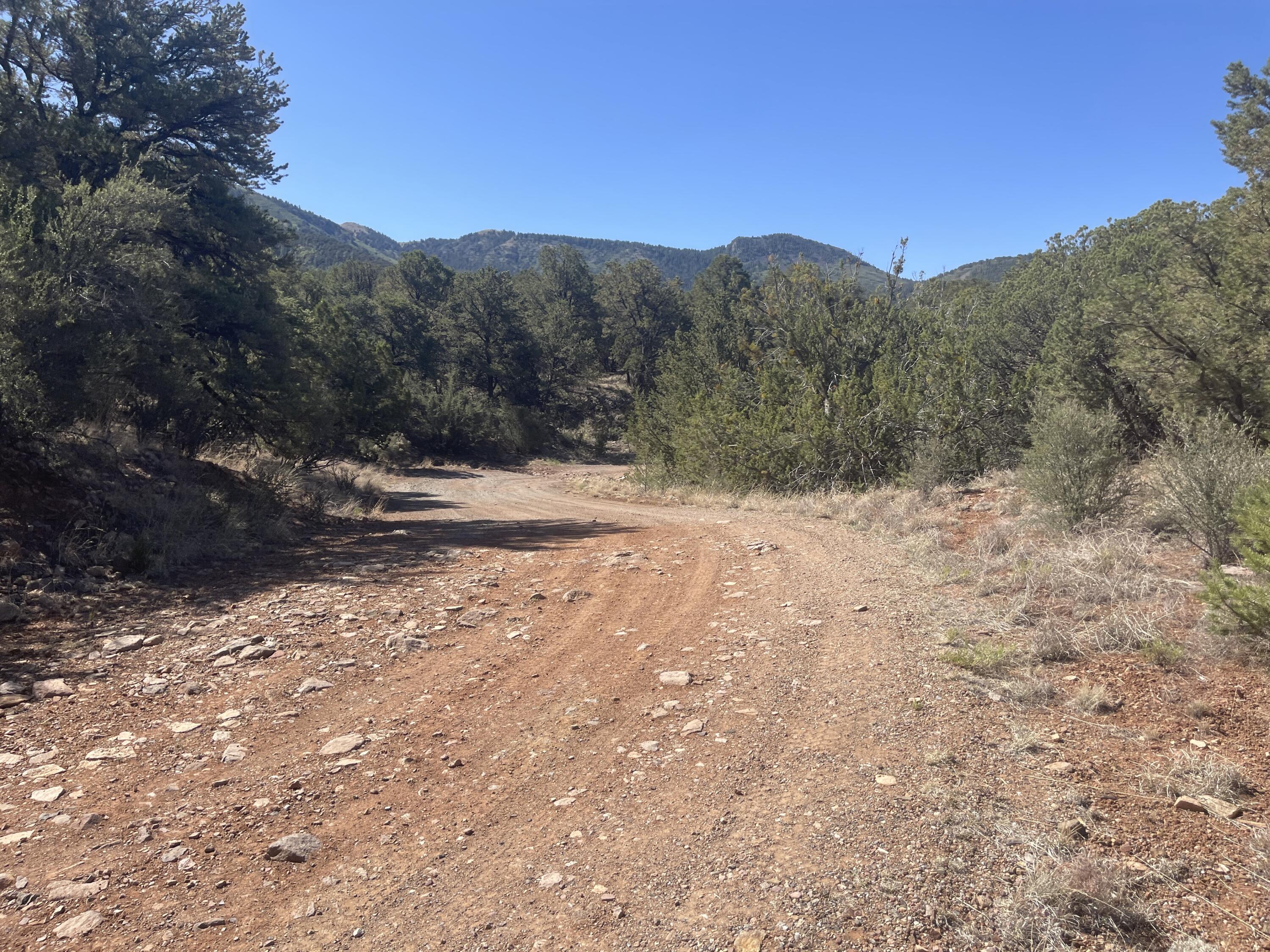 39.33 Patterson Canyon, Magdalena, New Mexico image 41