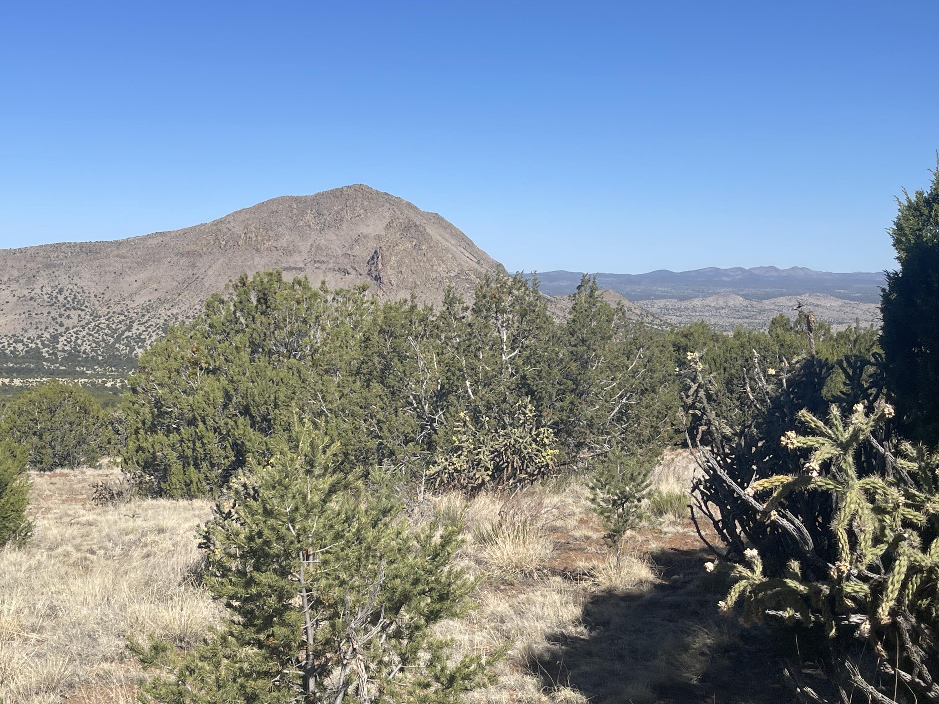 39.33 Patterson Canyon, Magdalena, New Mexico image 16