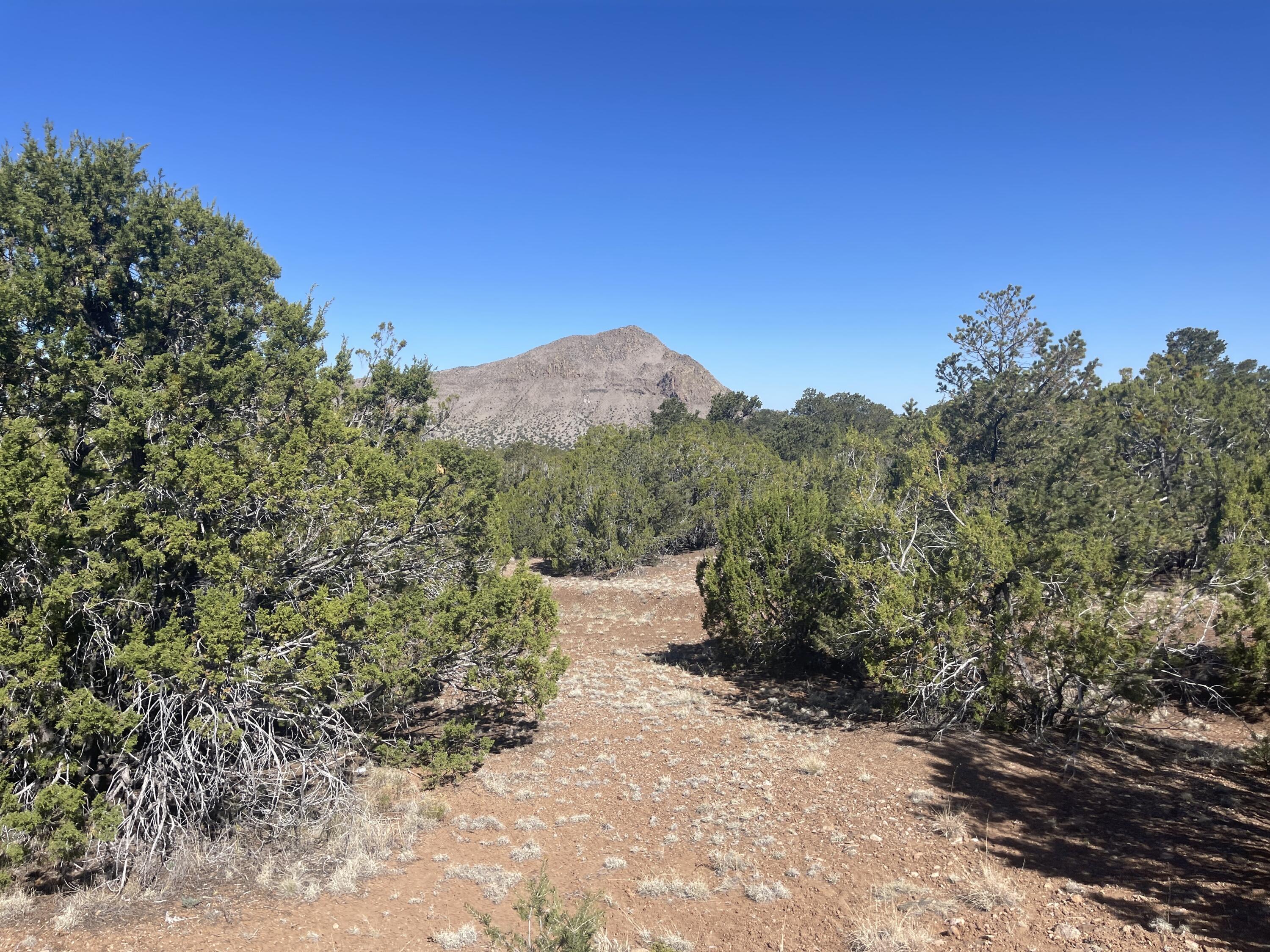 39.33 Patterson Canyon, Magdalena, New Mexico image 39