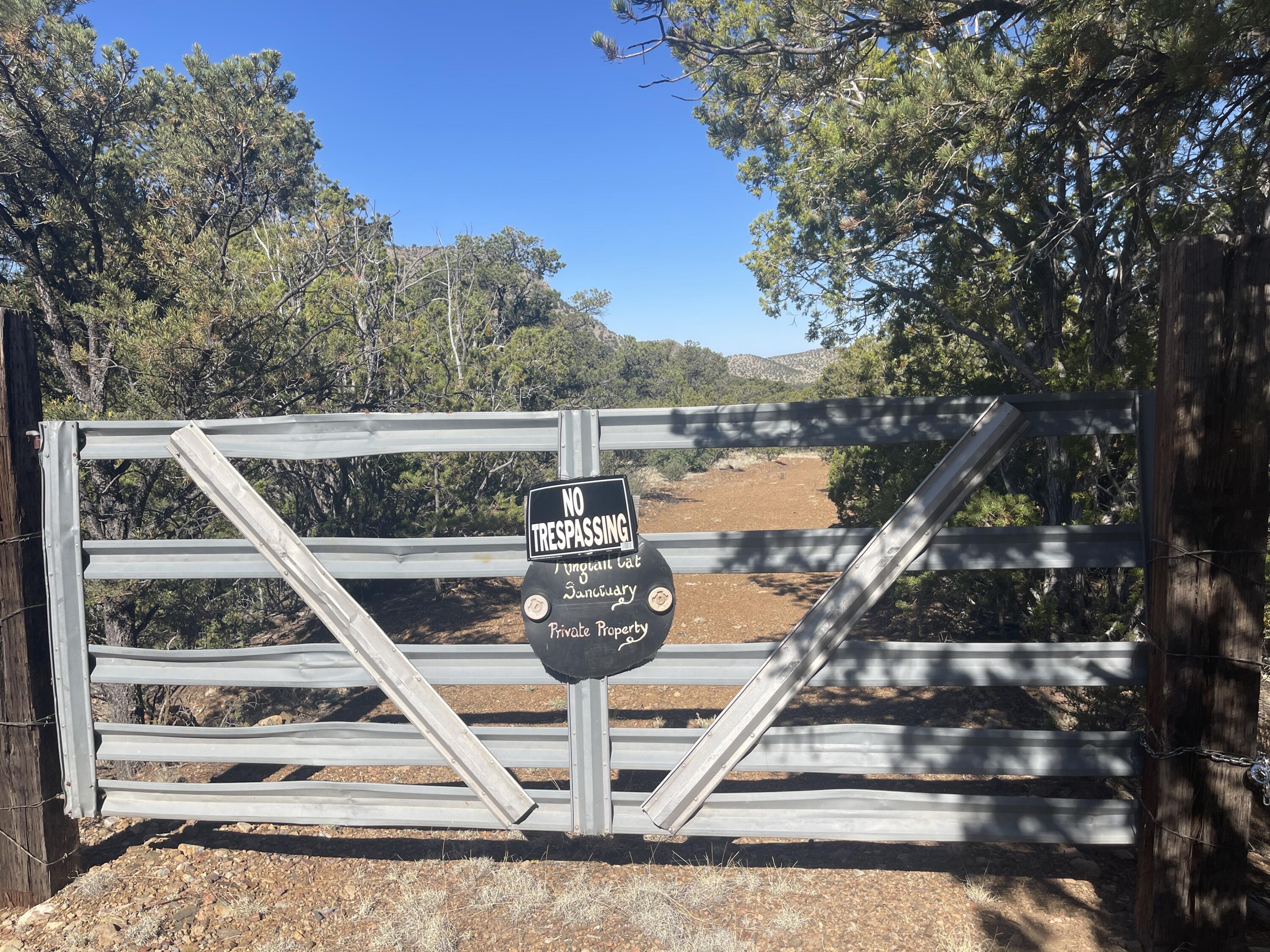 39.33 Patterson Canyon, Magdalena, New Mexico image 44