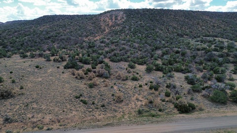 Photo of LOT 1 NM-603, Pie Town, NM 87827 (MLS # 1112325)