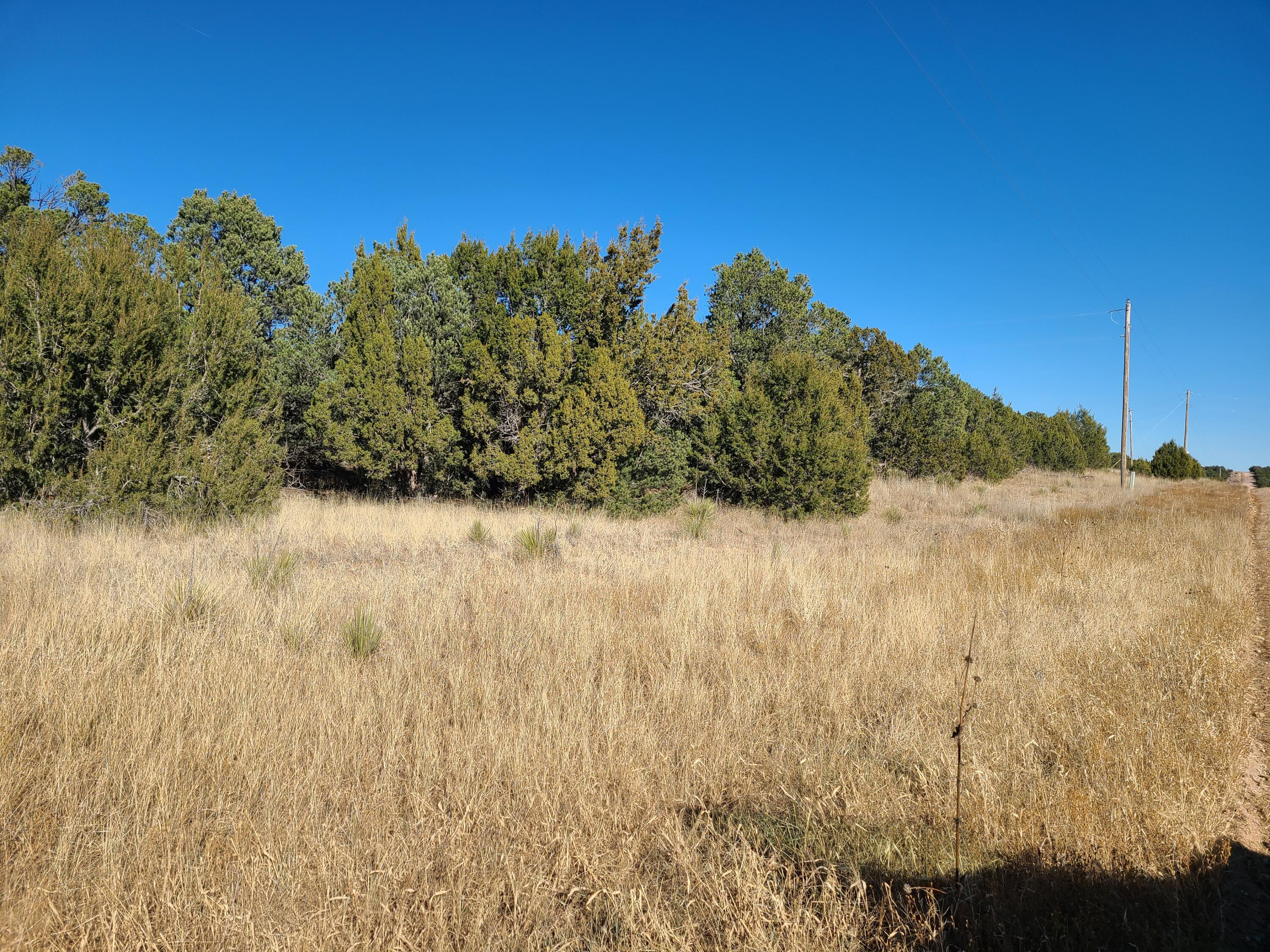 County Rd A012 #14, Tajique, New Mexico image 7