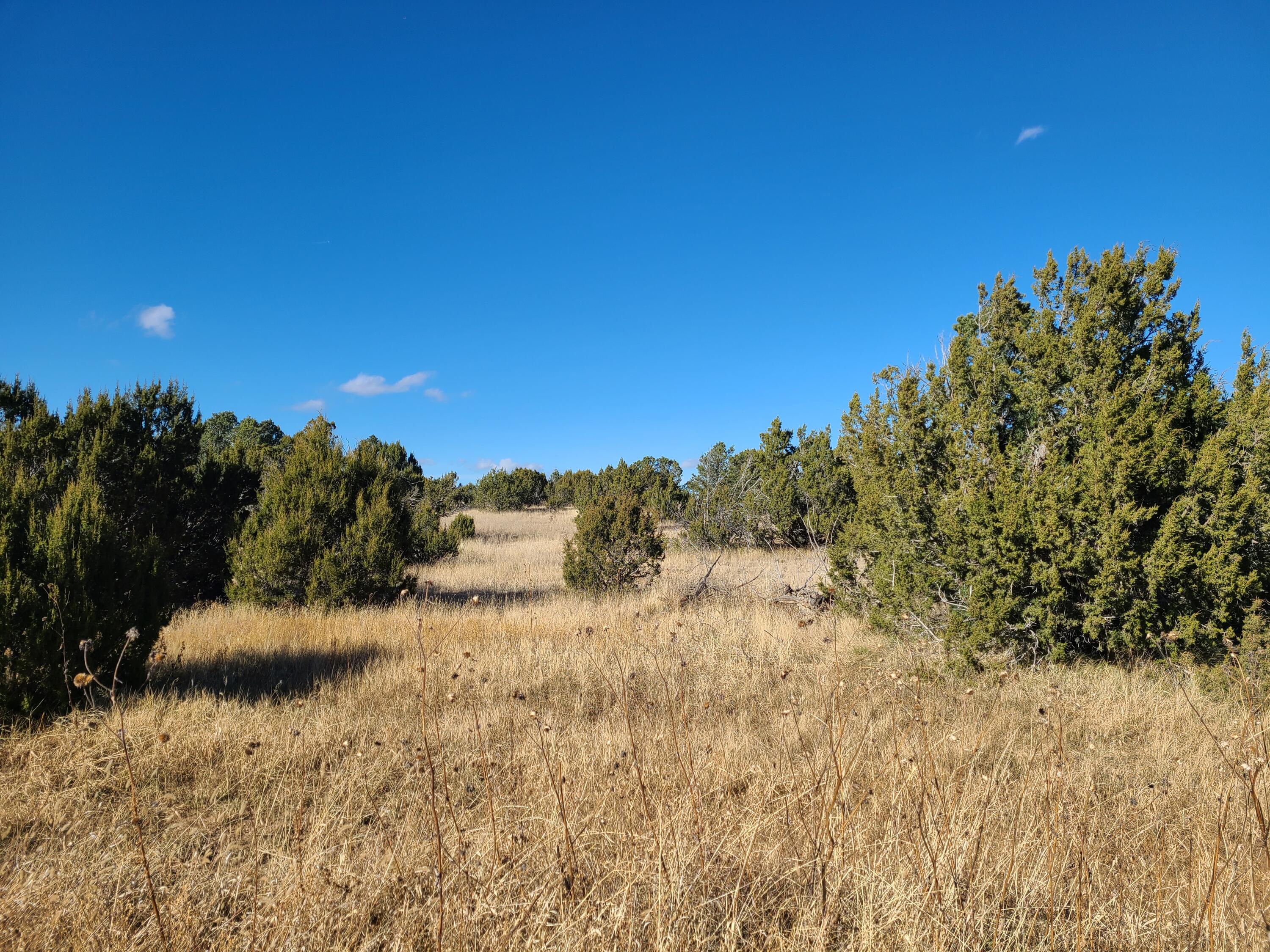 County Rd A012 #14, Tajique, New Mexico image 8