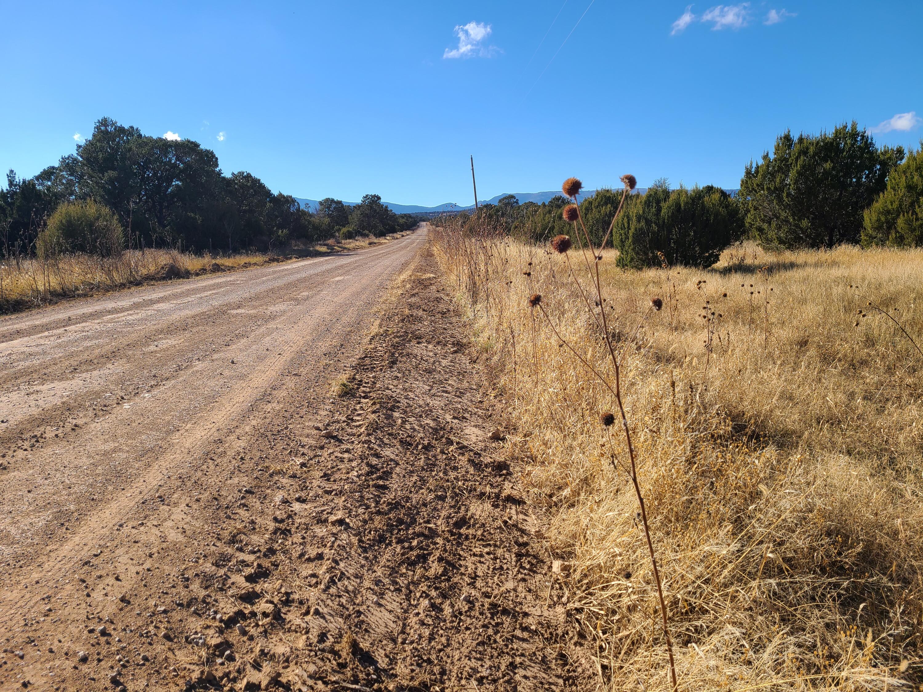 County Rd A012 #14, Tajique, New Mexico image 5