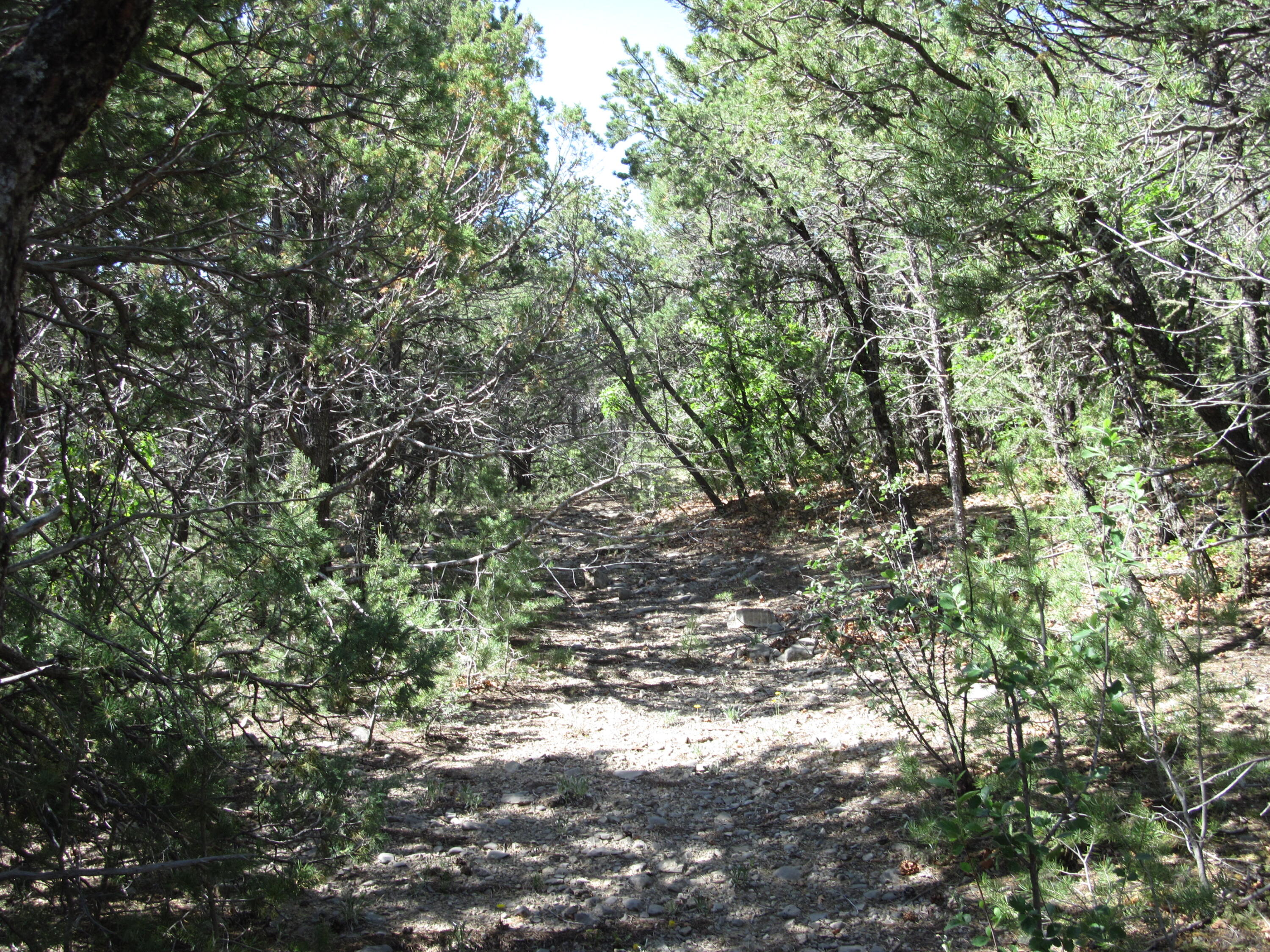 8 & 10 Roadrunner Road