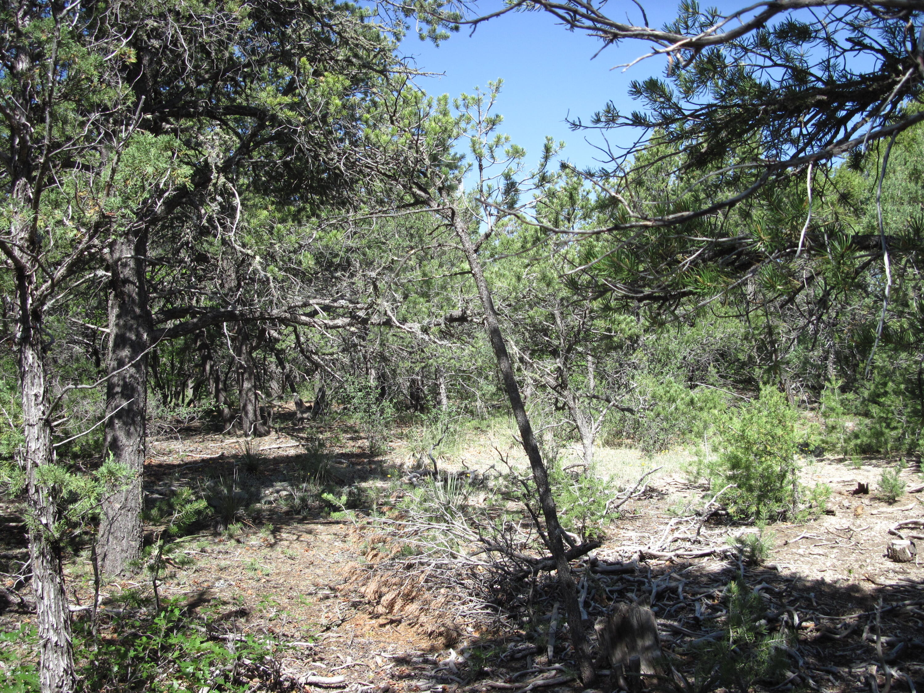 8 & 10 Roadrunner Road