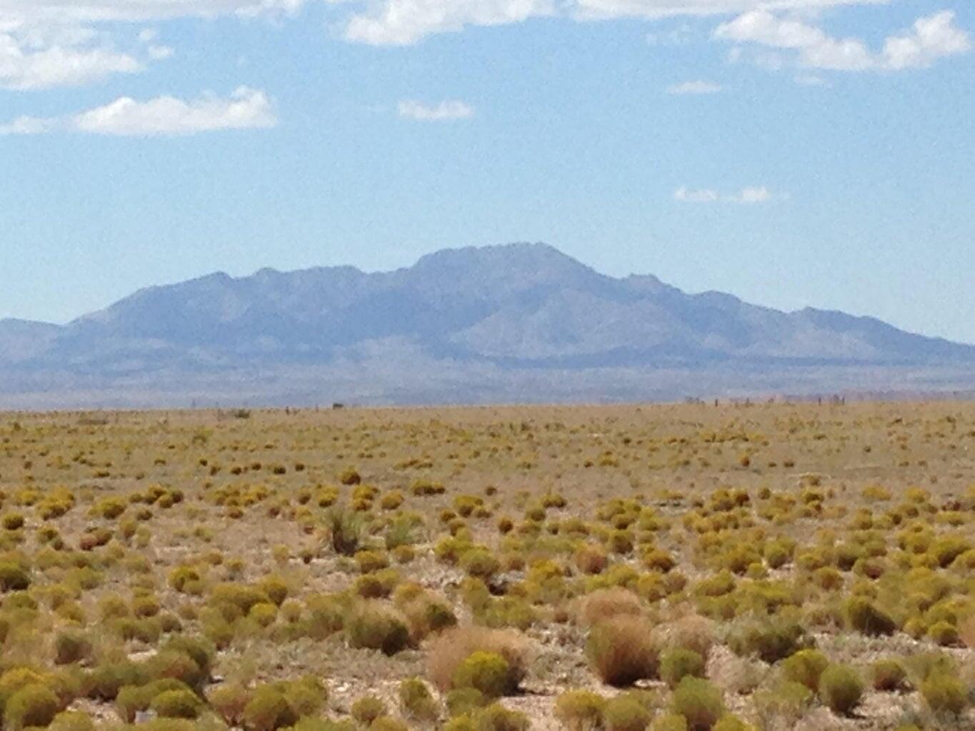 View La Joya, NM 87028 property