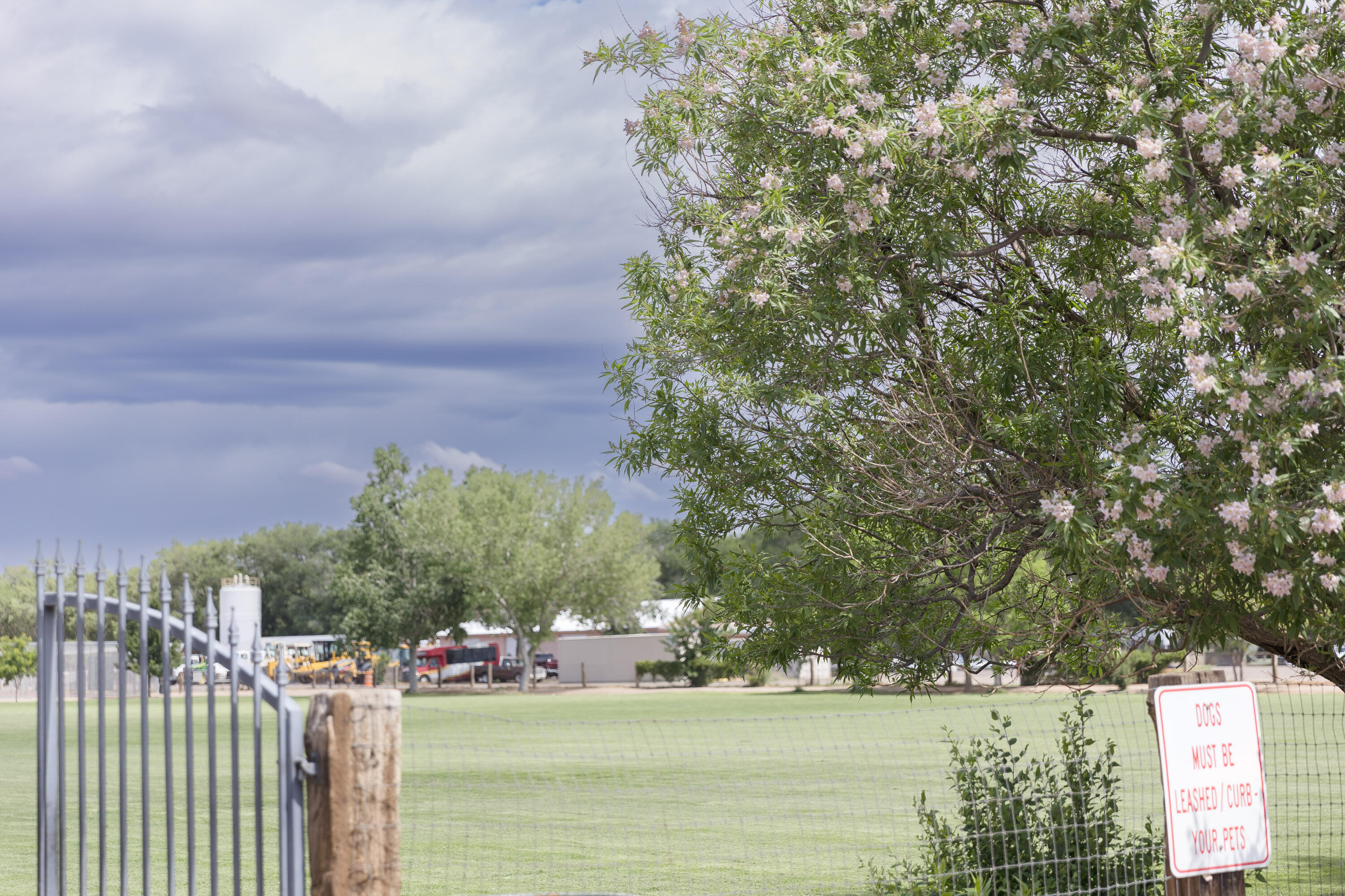 West Valverde, Corrales, New Mexico image 35