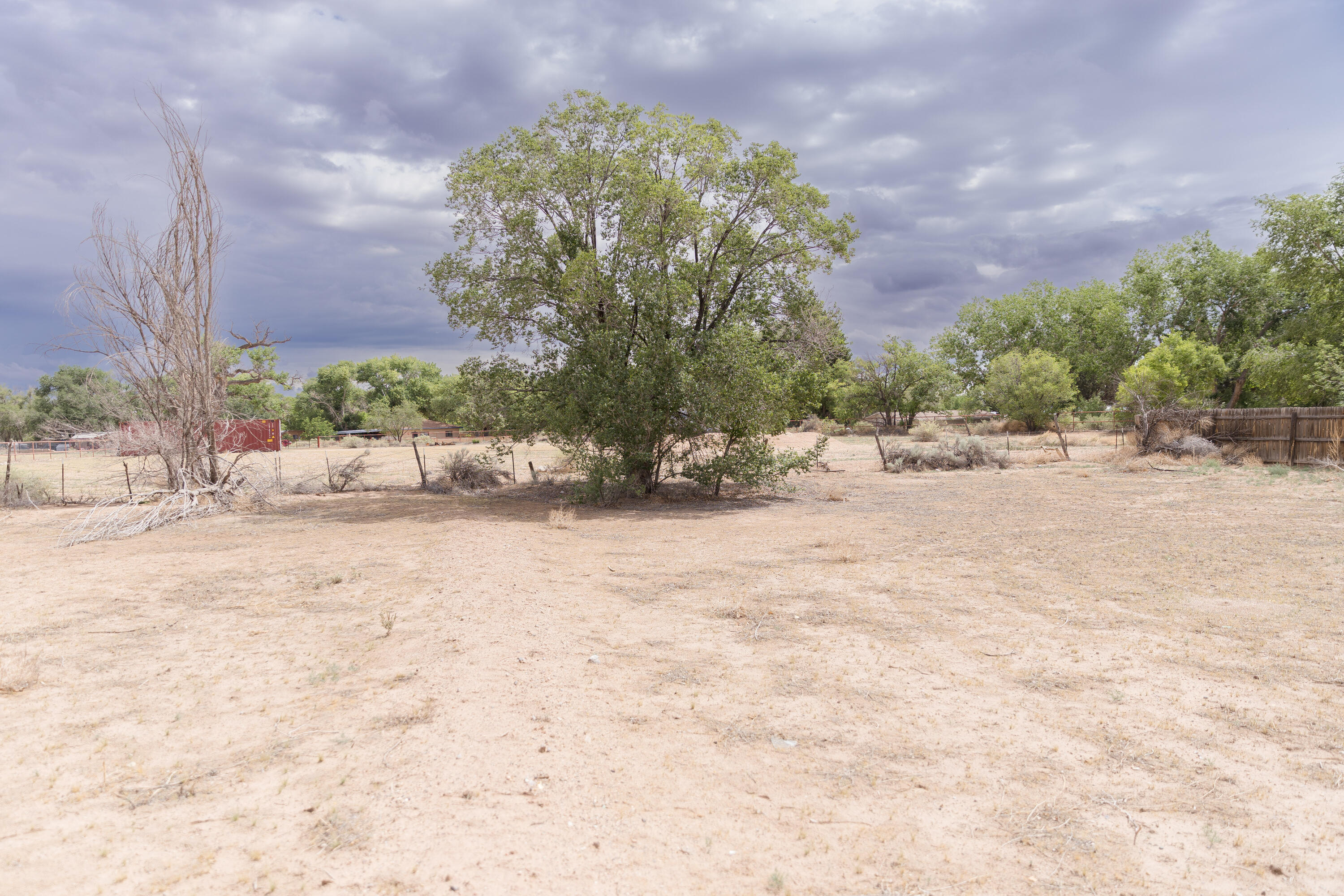 West Valverde, Corrales, New Mexico image 12