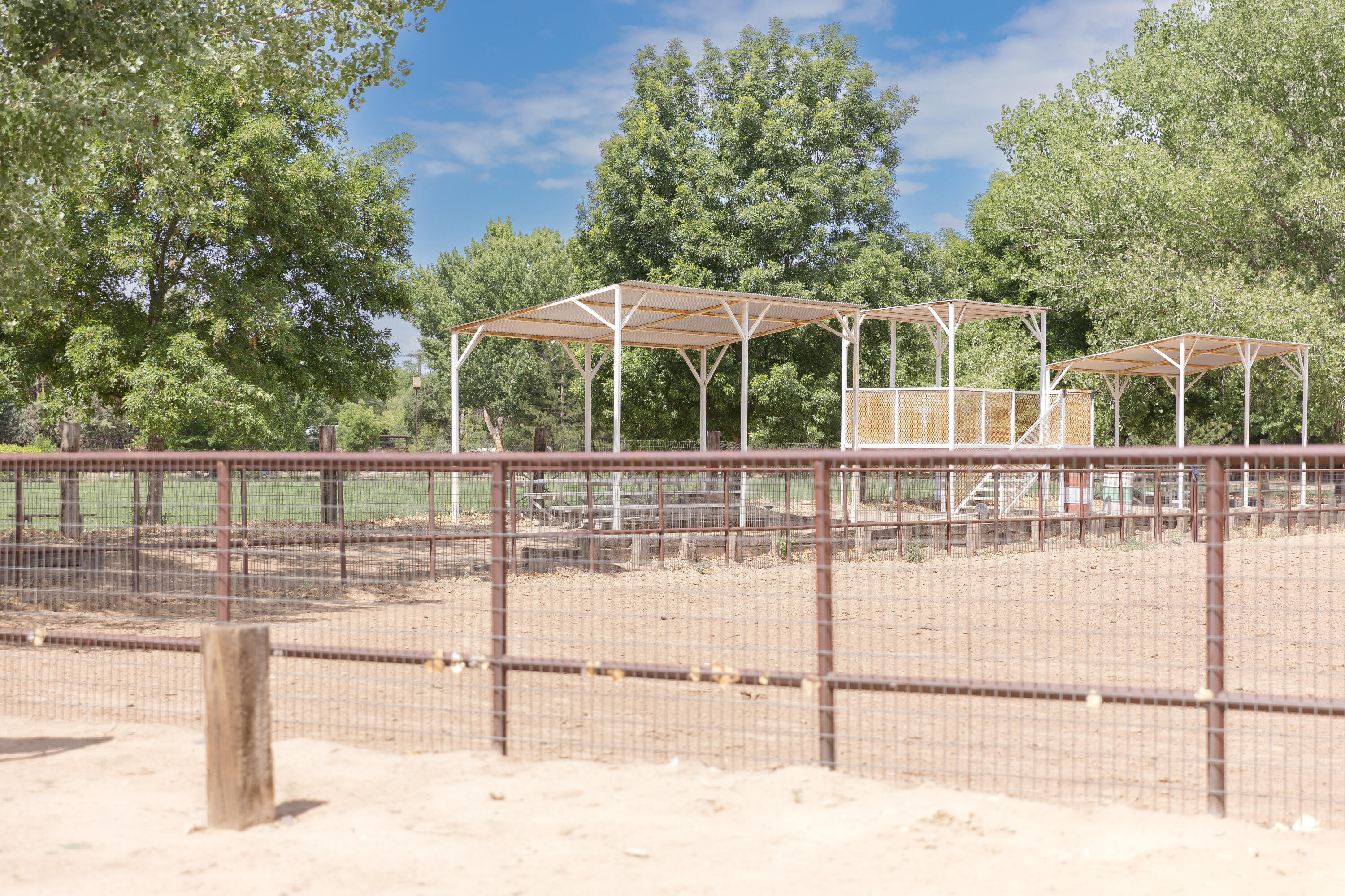 West Valverde, Corrales, New Mexico image 38