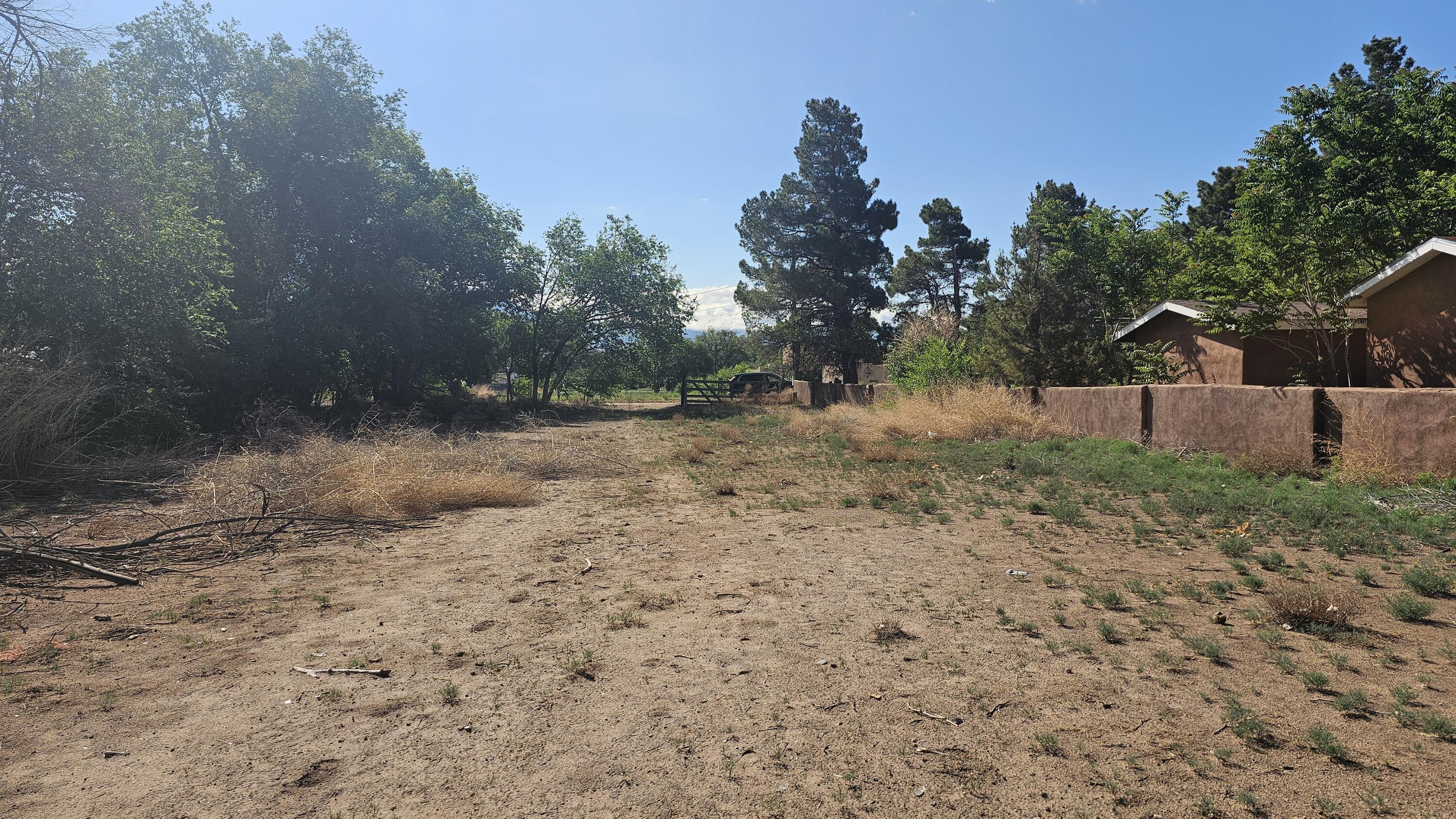 West Valverde, Corrales, New Mexico image 6