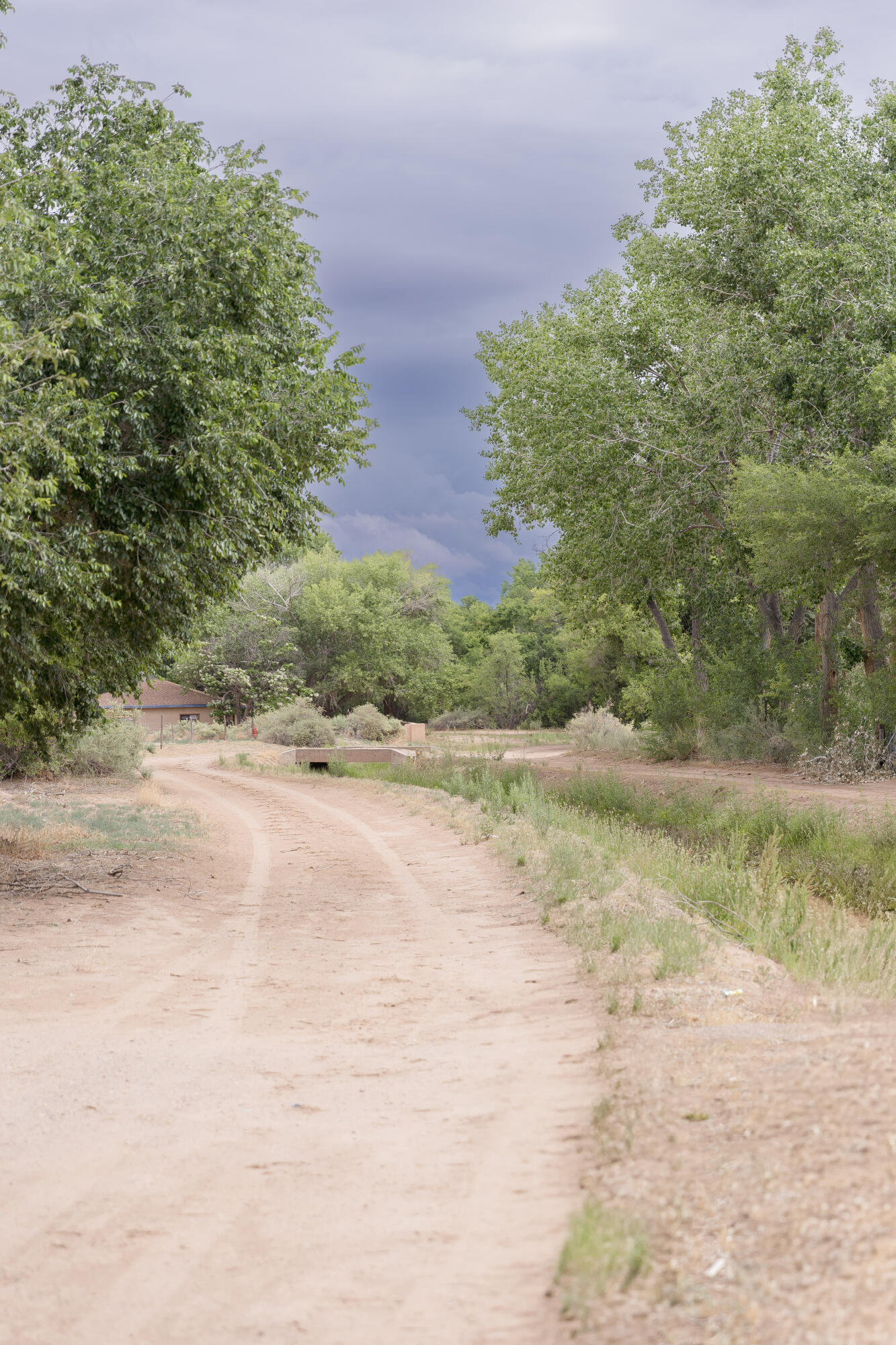West Valverde, Corrales, New Mexico image 11